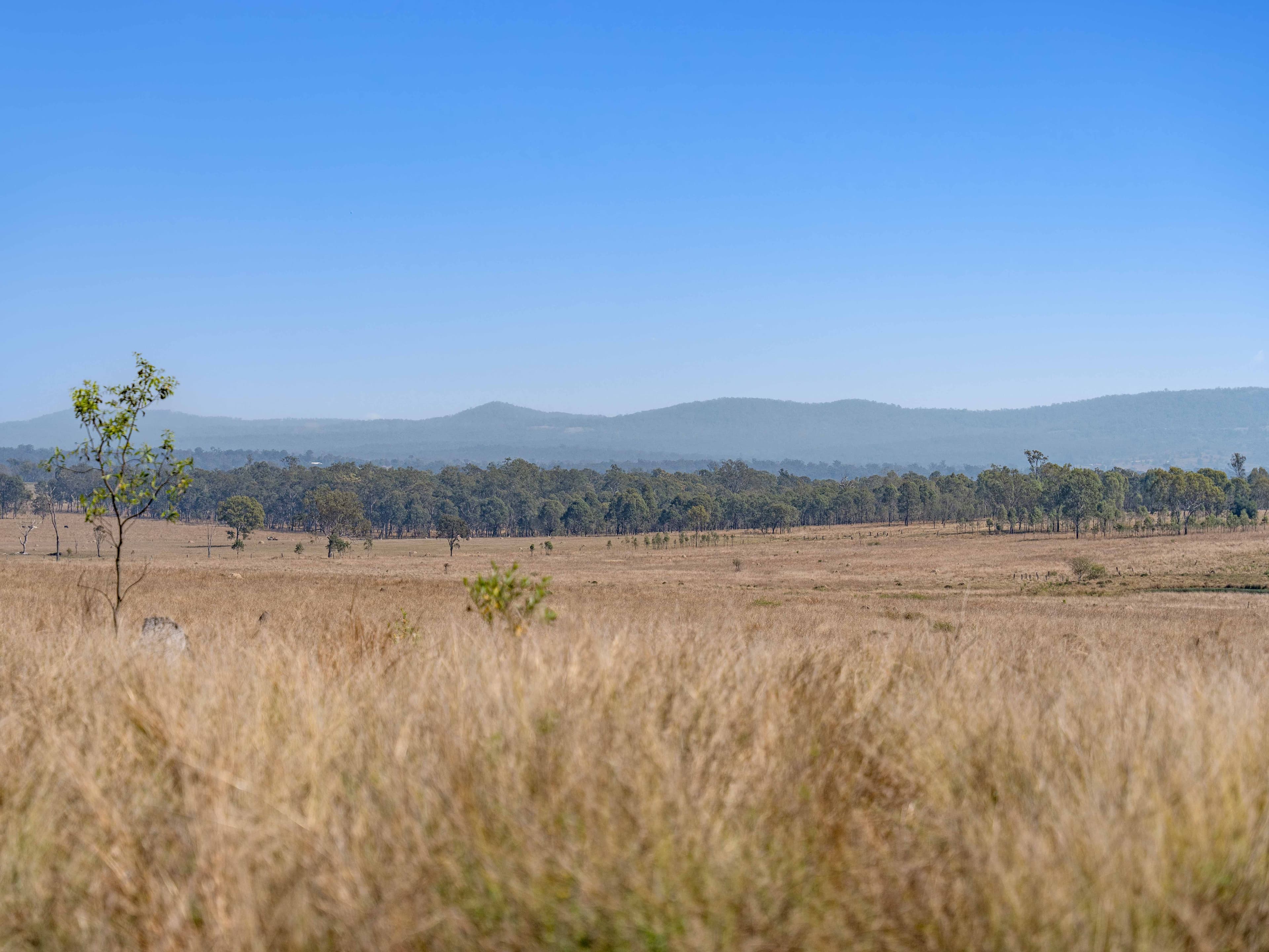 Unnamed Road, Mount Forbes QLD 4340, Mount Forbes - Thumbnail 3