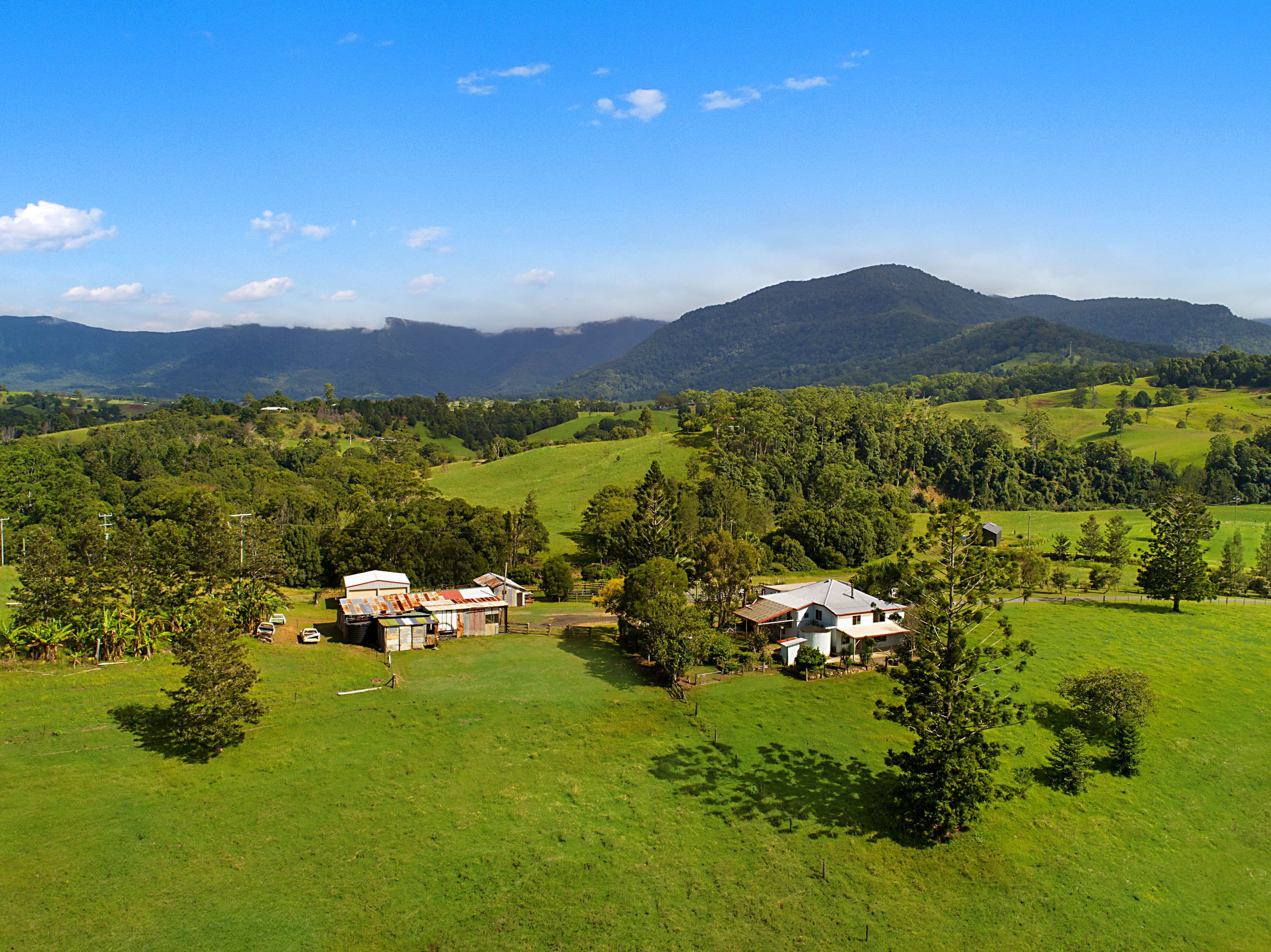 1563 Tyalgum Road, Tyalgum NSW 2484, Tyalgum - Thumbnail 4