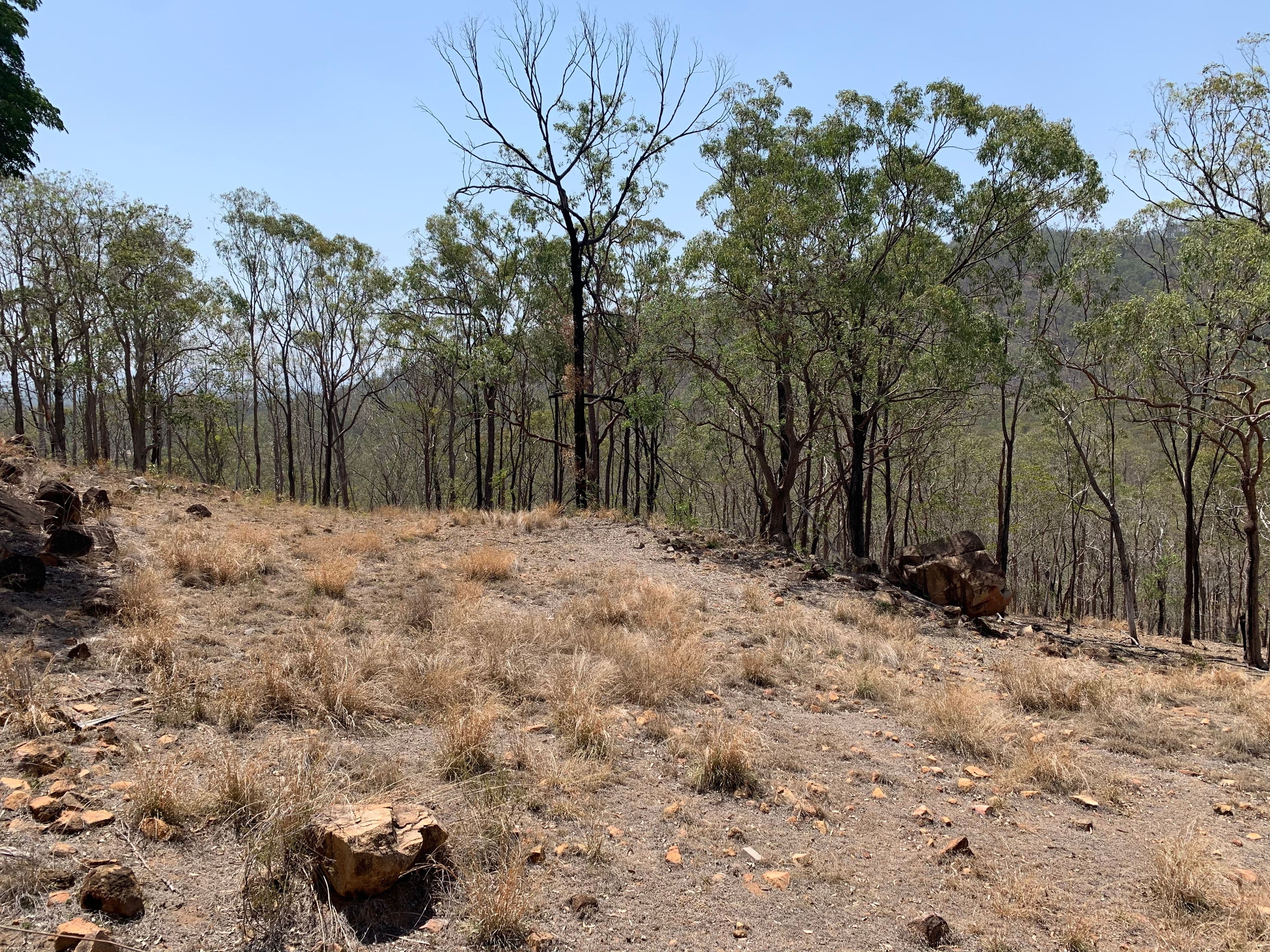 46967 Bruce Highway, Iveragh QLD 4680, Iveragh - Thumbnail 6