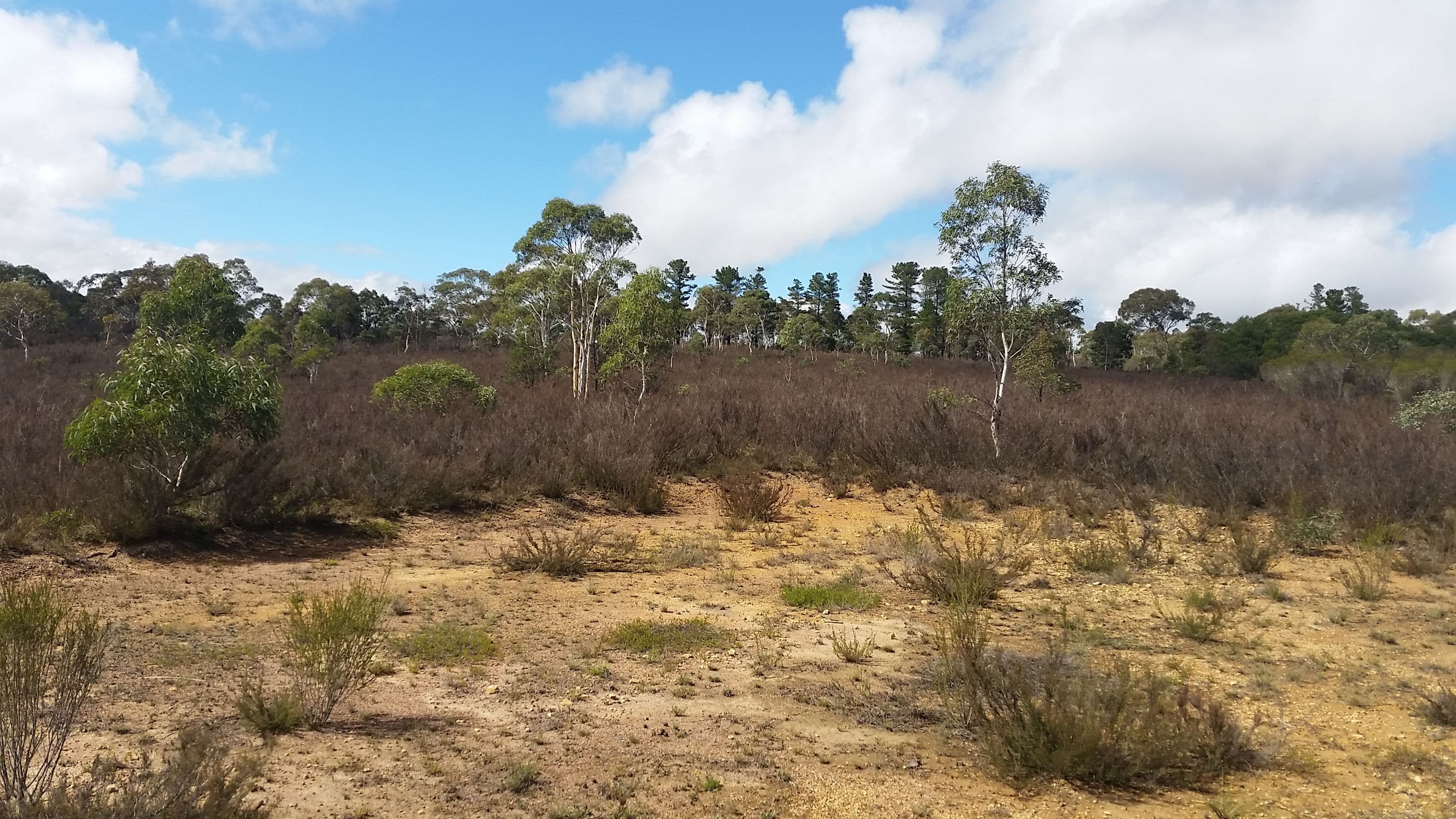 34 Farringdon Road, Bombay NSW 2622, Bombay - Thumbnail 2
