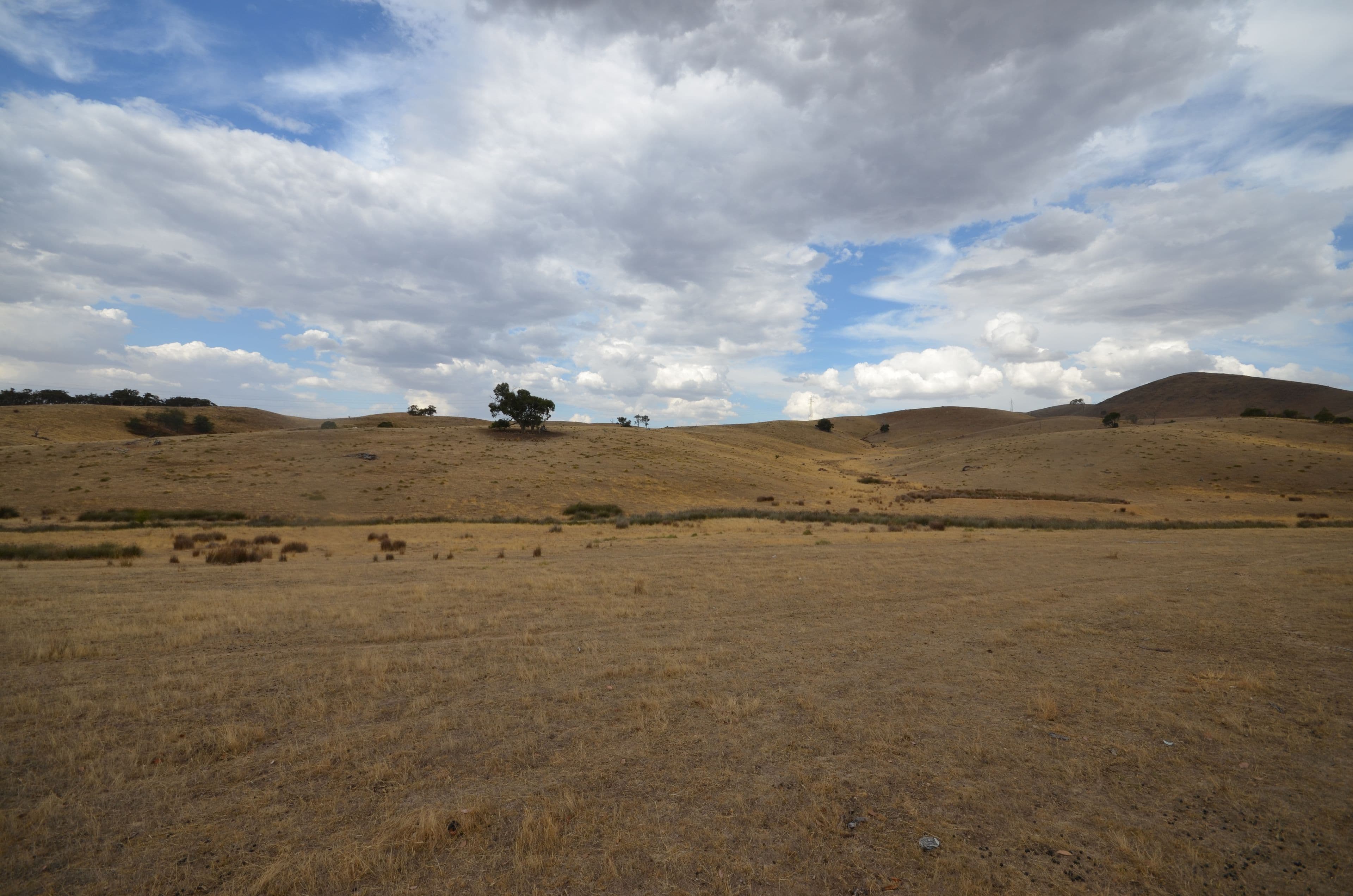 CA 210 Townsing Road, AMPHITHEATRE  Victoria  3468, Australia, Amphitheatre - Thumbnail 4