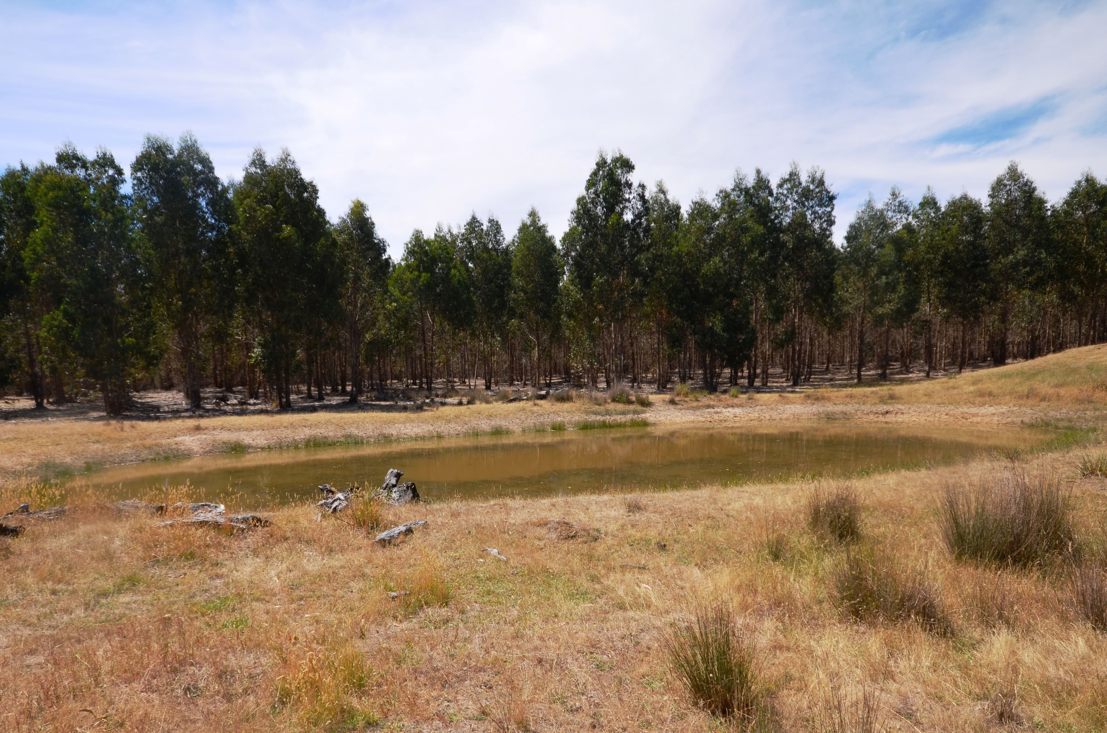 Glenlogie VIC 3469, Glenlogie - Thumbnail 7
