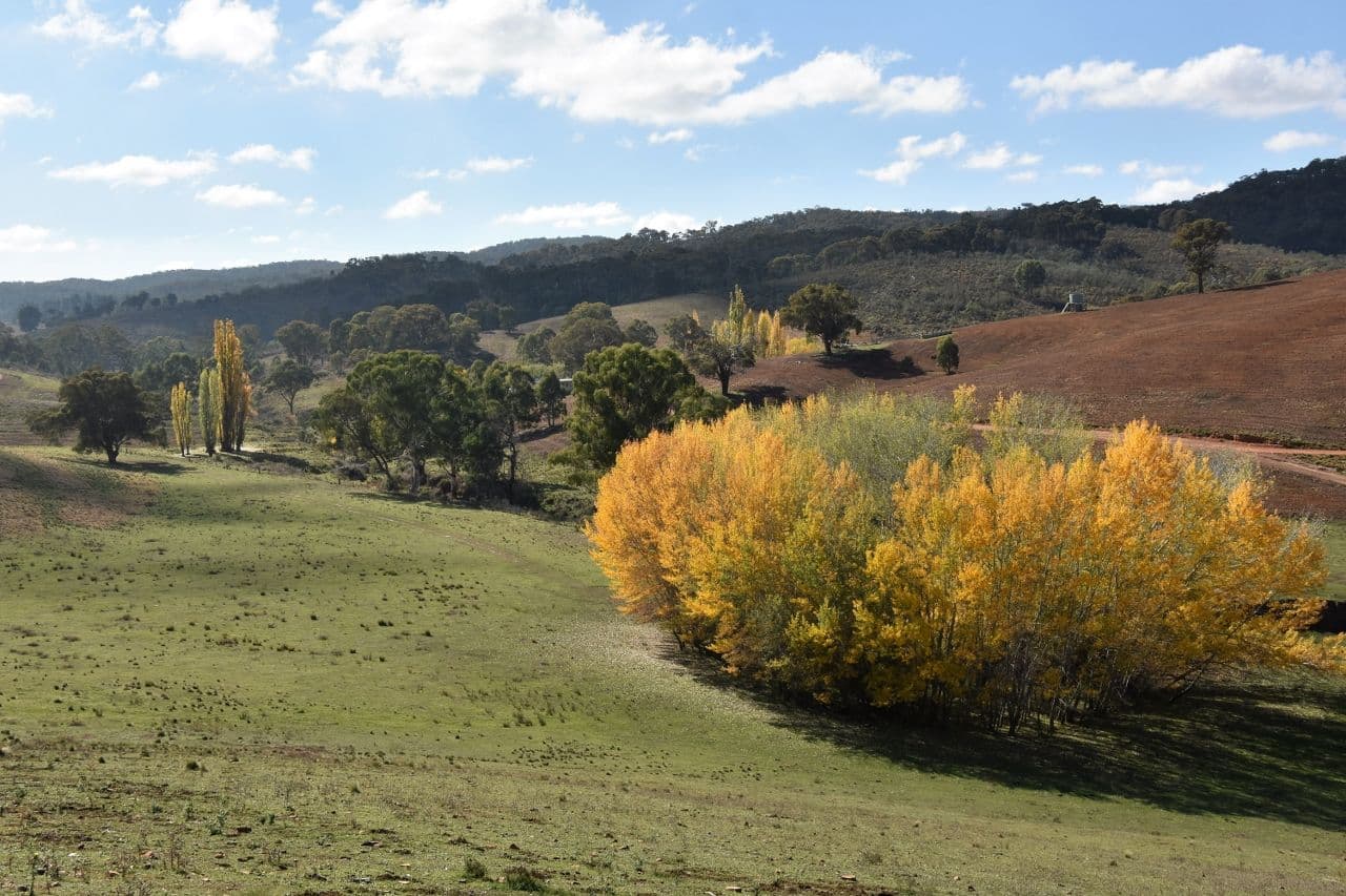 Oberon NSW 2787, Oberon - Image 1