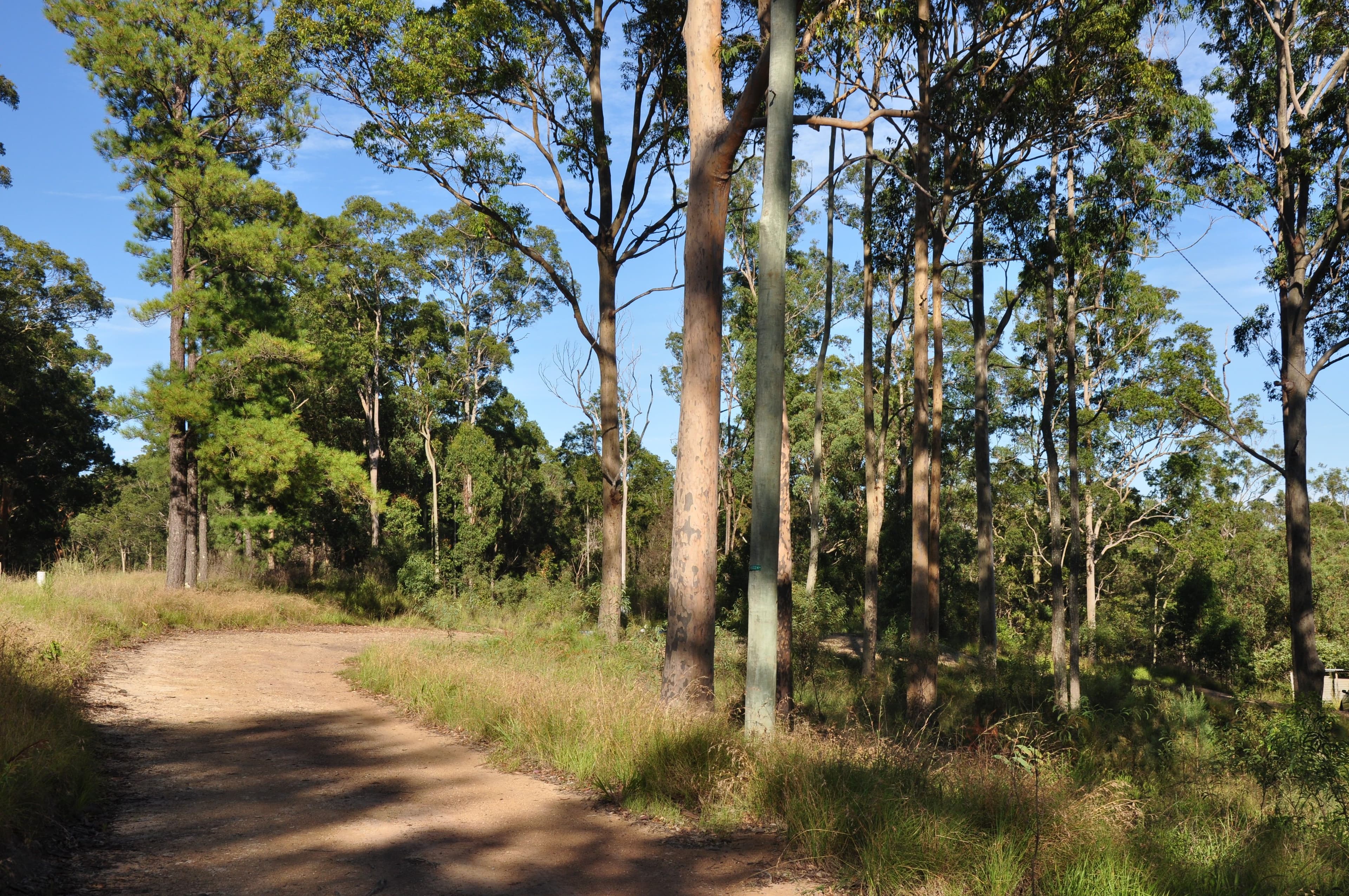 718 Pipers Creek Road, Dondingalong NSW 2440, Dondingalong - Thumbnail 6