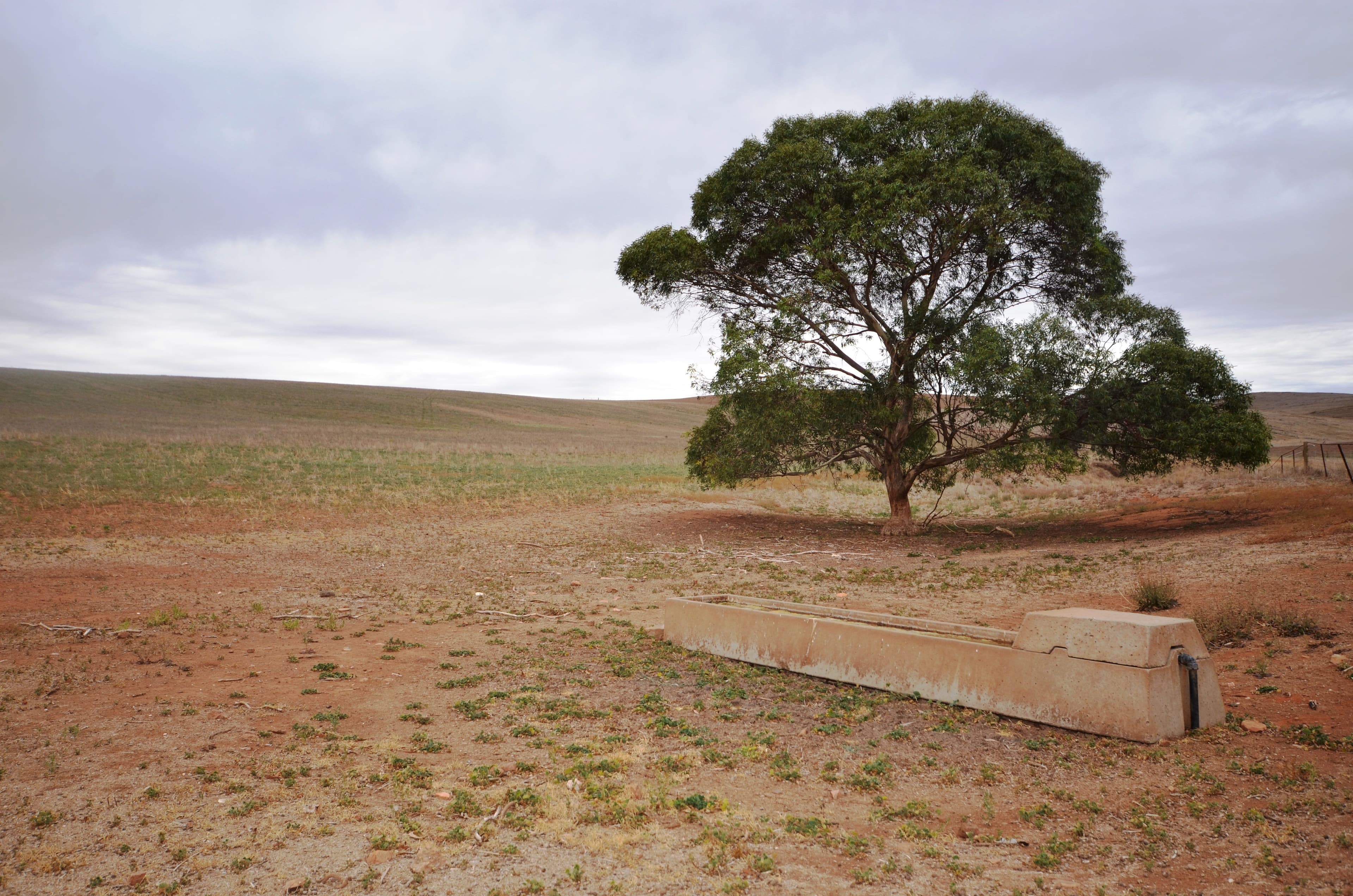 "Harveys" Pattersons Road, GULNARE SA 5471, Gulnare - Thumbnail 2