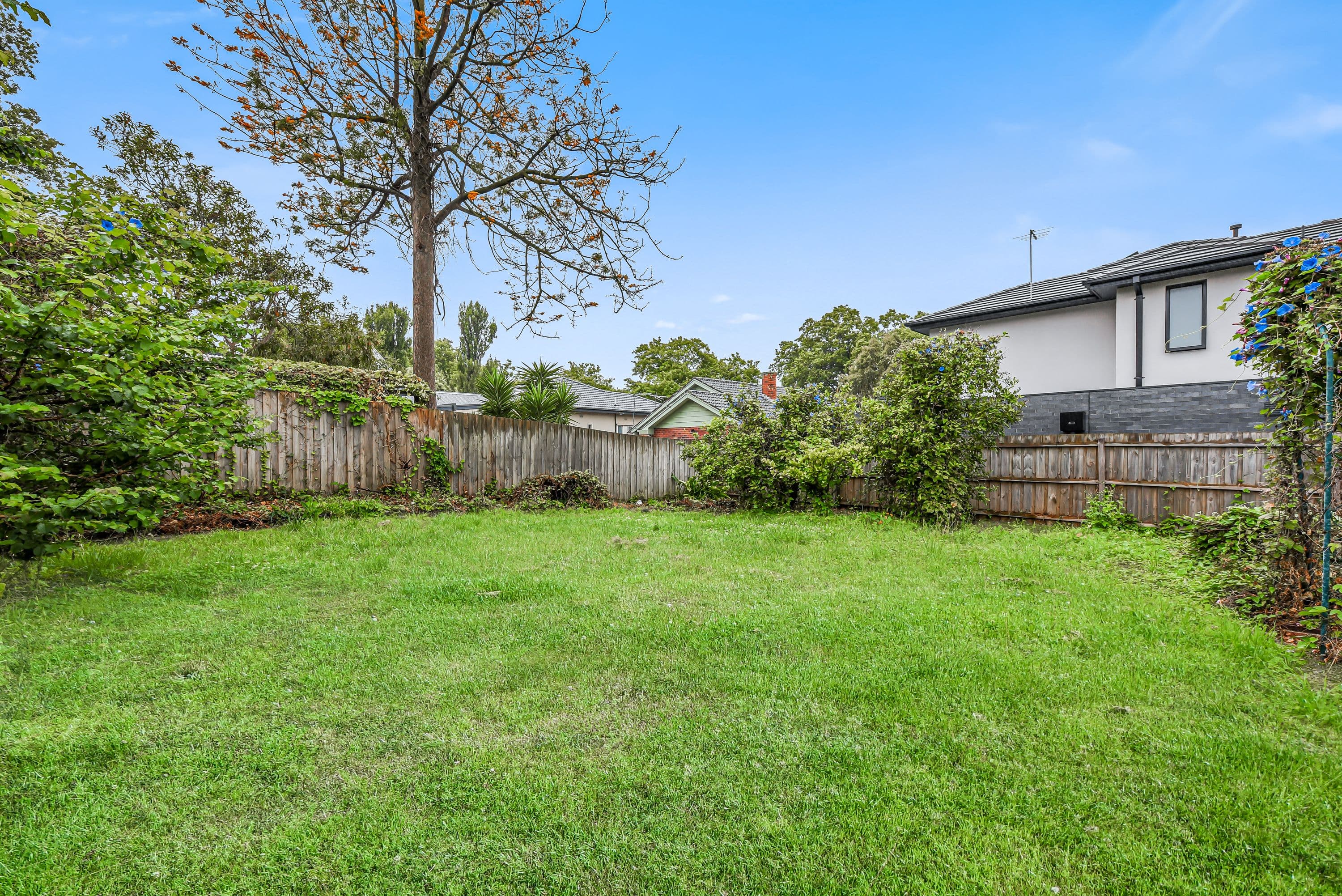 1179 Riversdale Road, Box Hill South VIC 3128, Box Hill South - Thumbnail 6