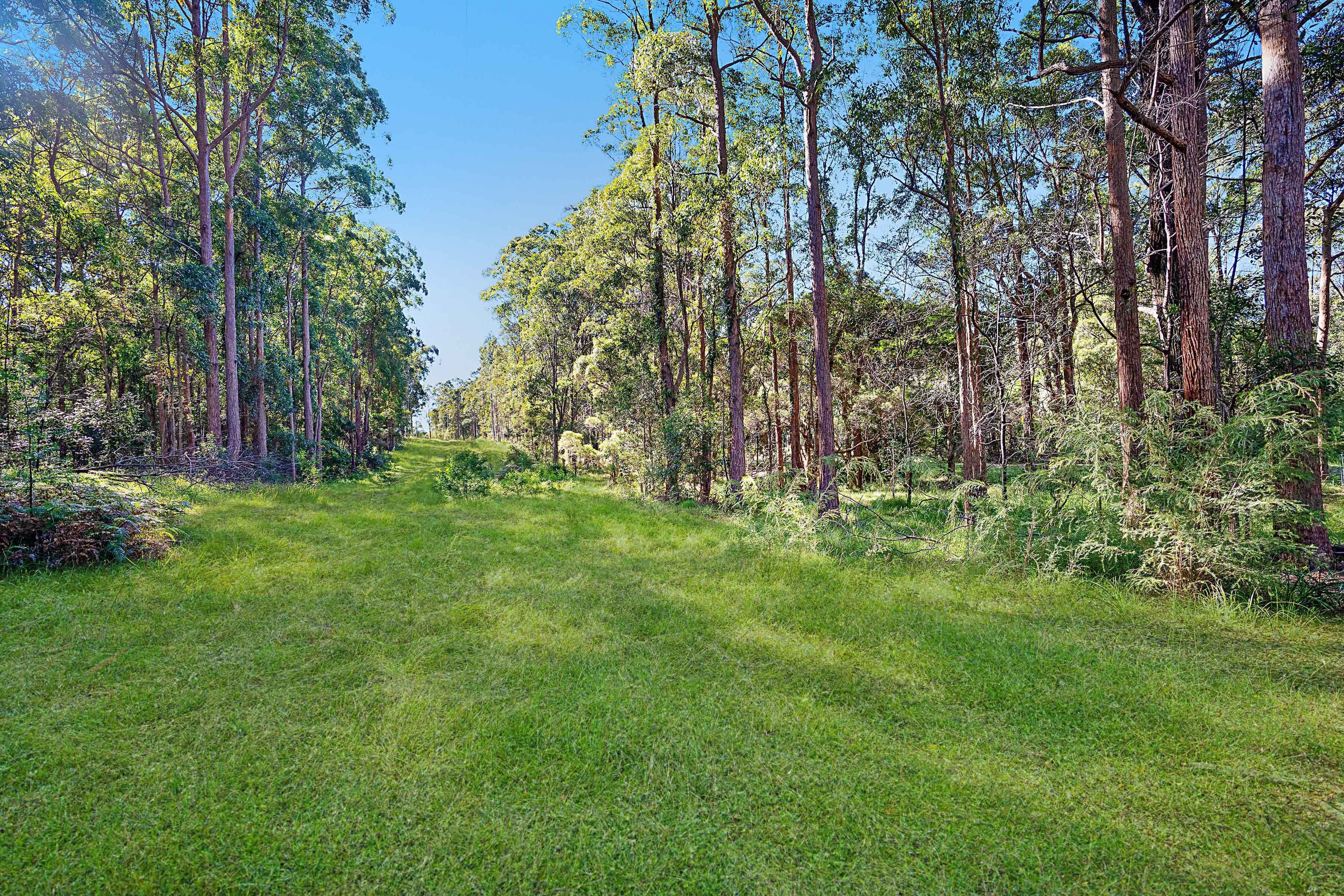 658 Mandalong Road, Mandalong NSW 2264, Mandalong - Thumbnail 4