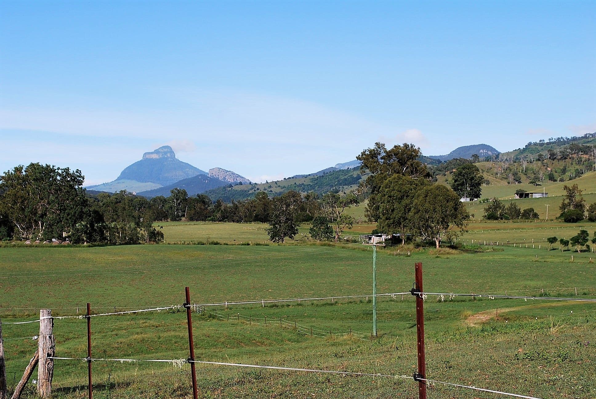 10822 Mount Lindesay Highway, Palen Creek QLD 4287, Palen Creek - Thumbnail 4