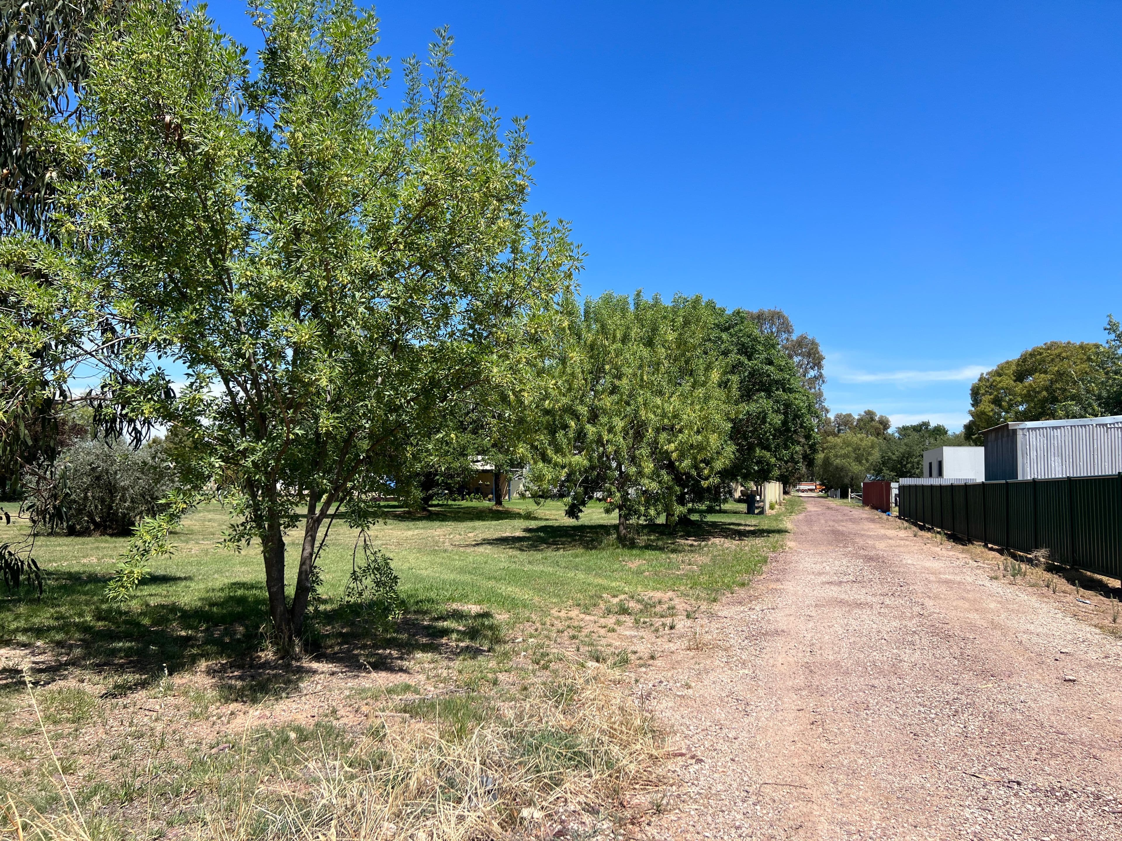 27 Oberon Street, Eugowra NSW 2806, Eugowra - Thumbnail 7