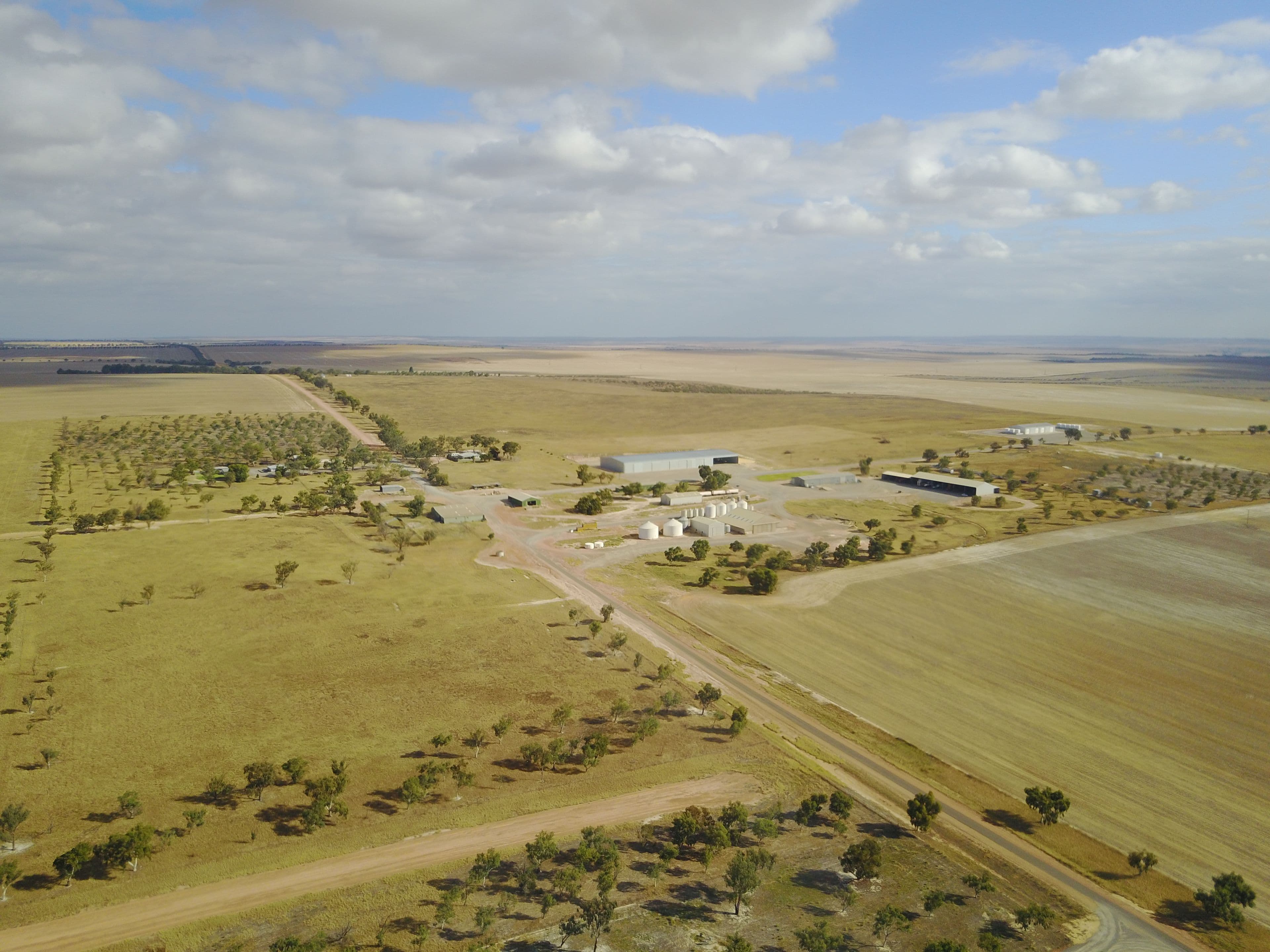 Erregulla Plains, Midlands Road, Mingenew WA 6522, Mingenew - Thumbnail 6