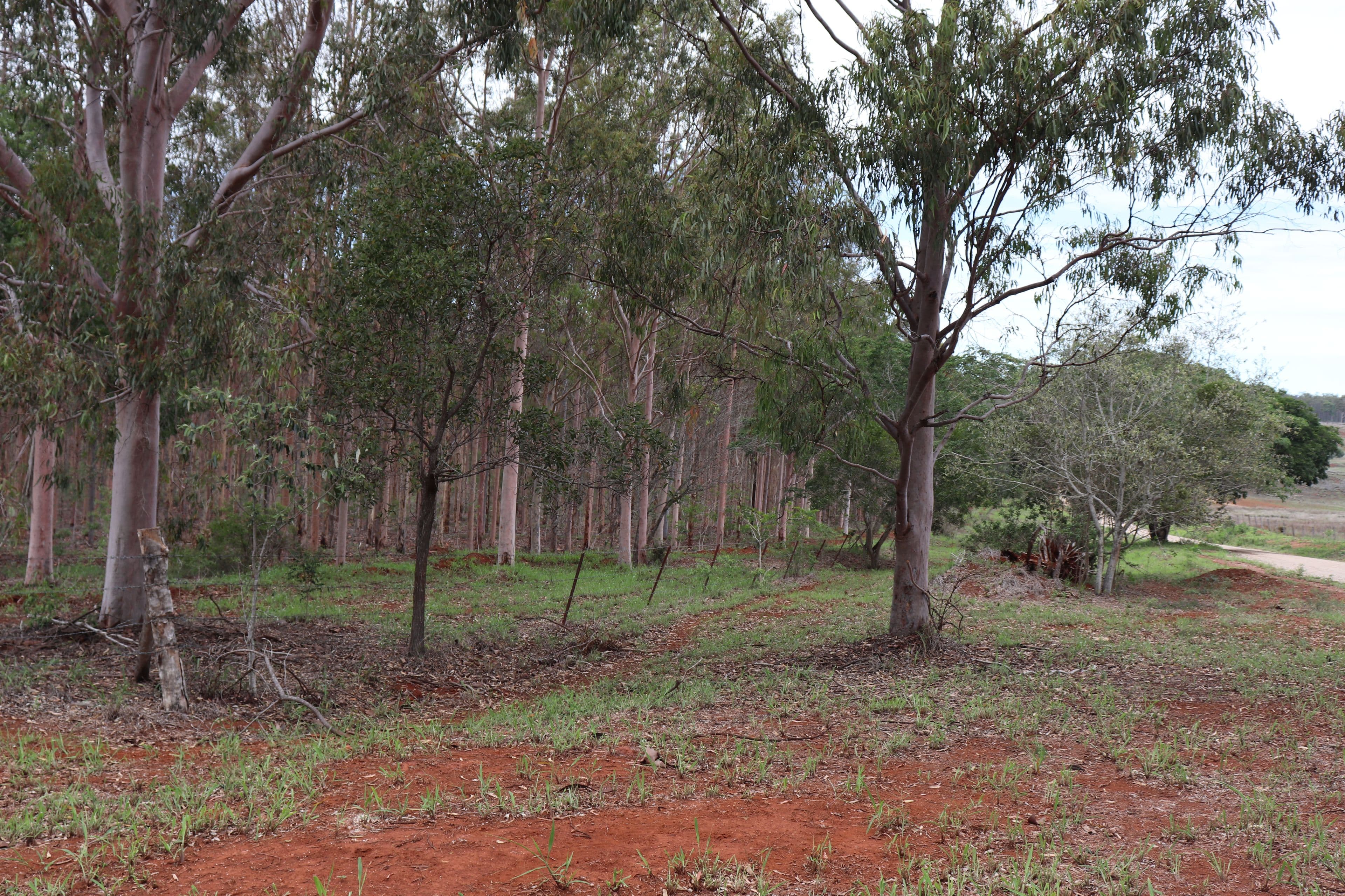 'Hooper' Burnett Highway, Binjour QLD 4625, Binjour - Thumbnail 5