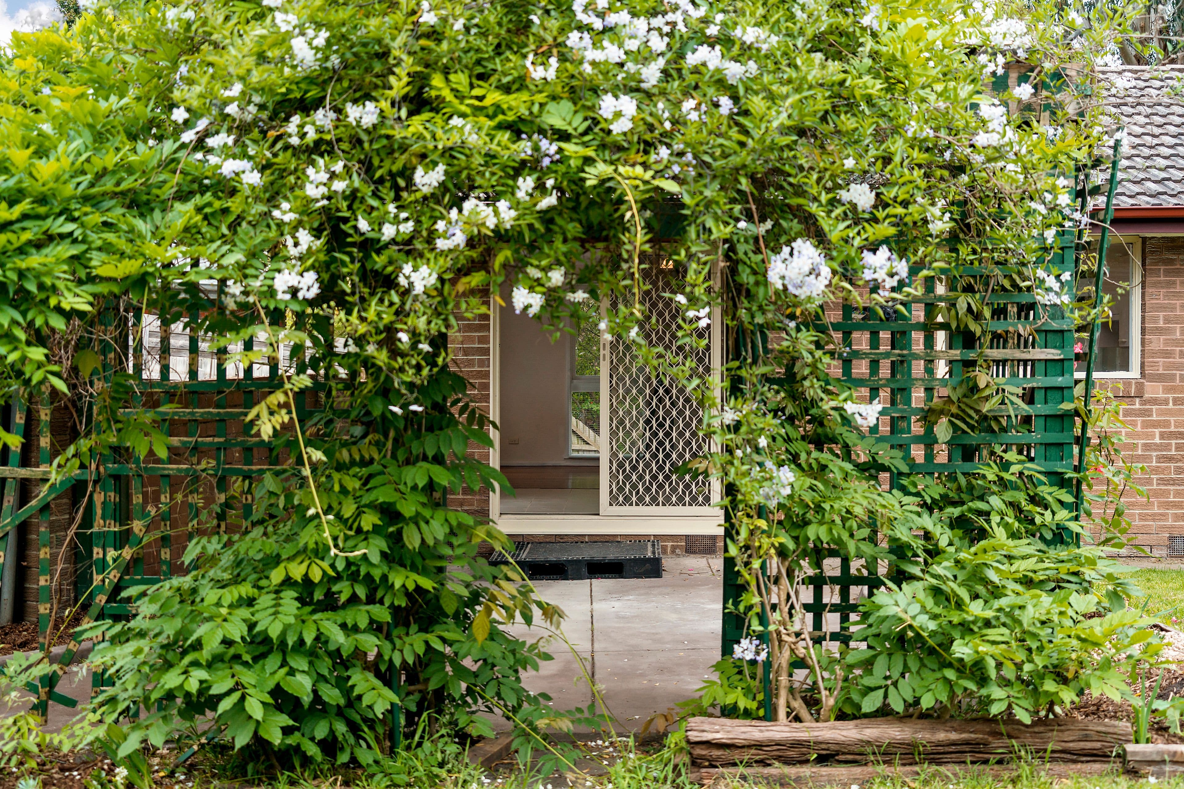 3 Quandong Court, Frankston VIC 3199, Frankston - Thumbnail 2