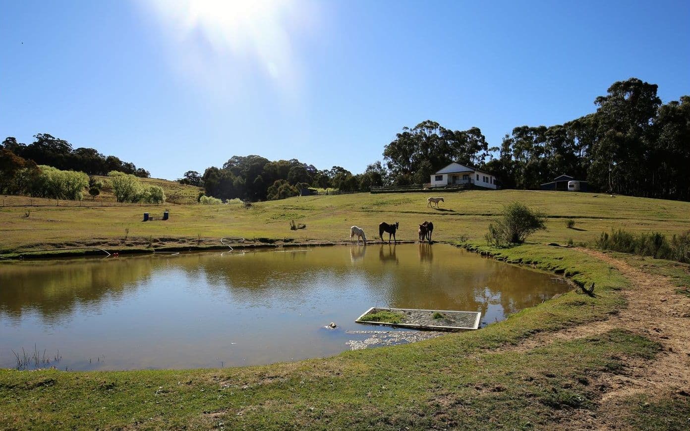 Yetholme NSW 2795, Yetholme - Thumbnail 2