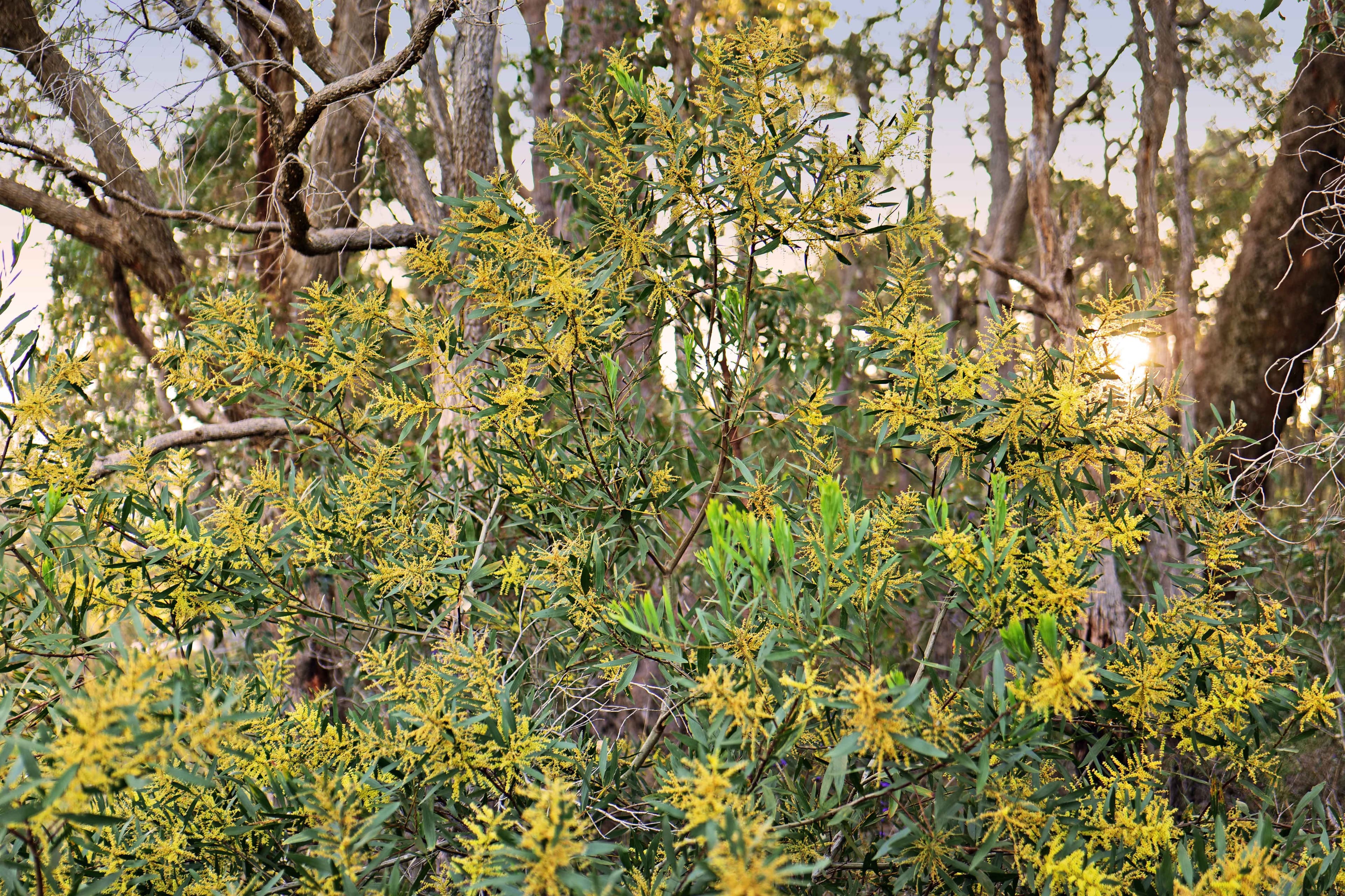 PL 8, 69 Brockman Road, The Hideaway, Cowaramup WA 6284, Cowaramup - Thumbnail 3
