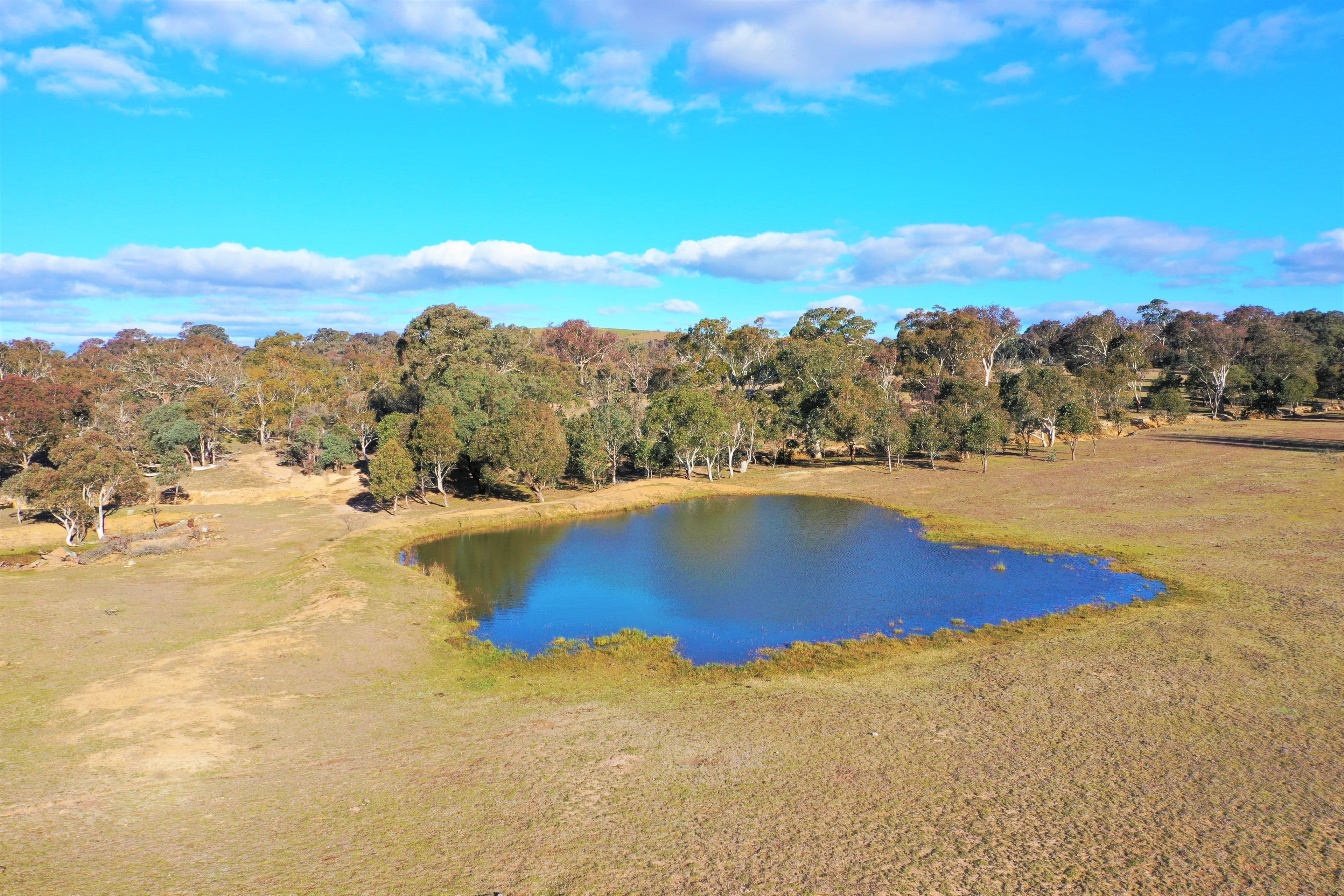 190 Pooleys Lane, Goulburn NSW 2580, Goulburn - Thumbnail 3