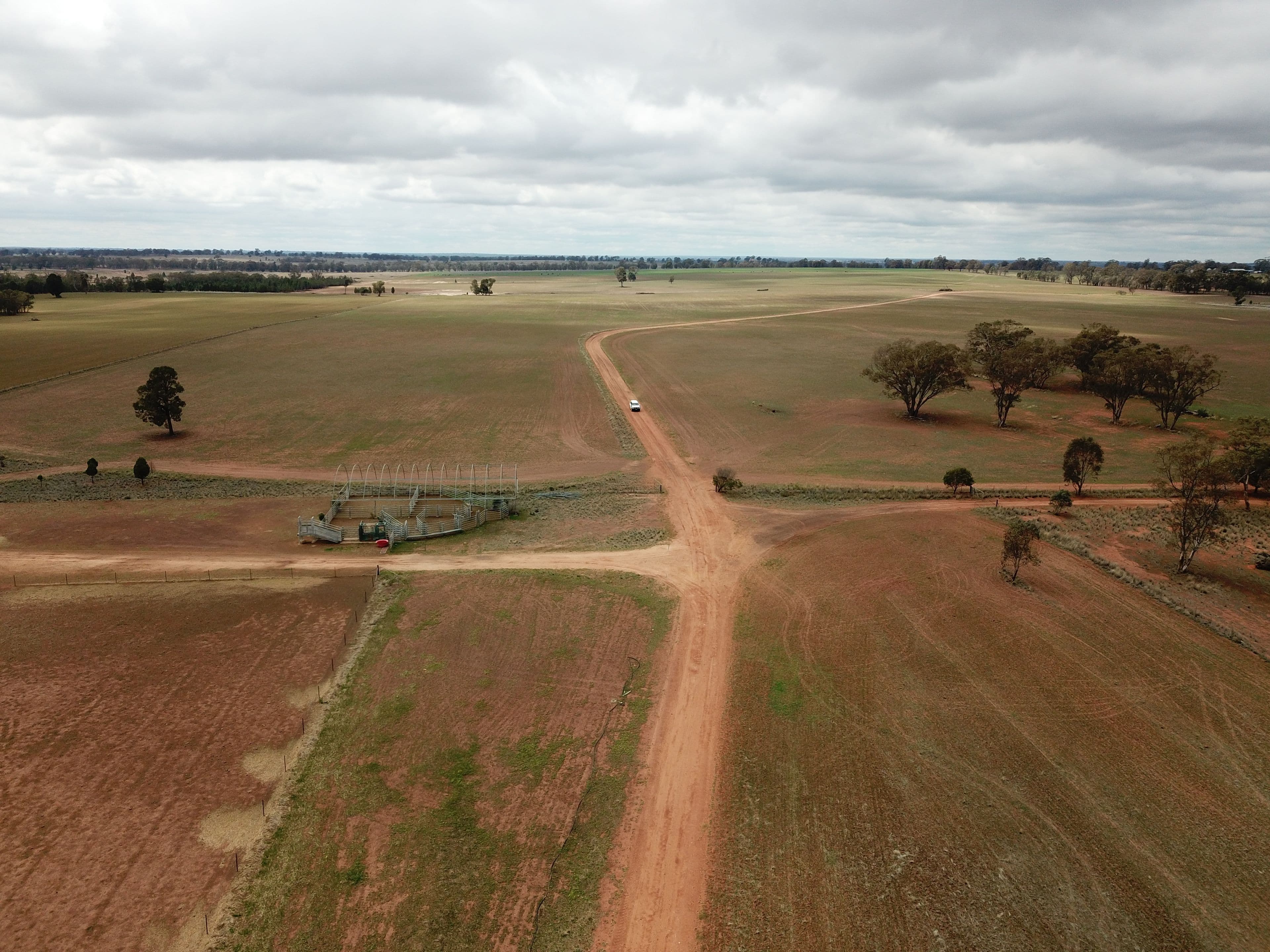 1020 Eumungerie Road, Dubbo NSW 2830, Dubbo - Thumbnail 3