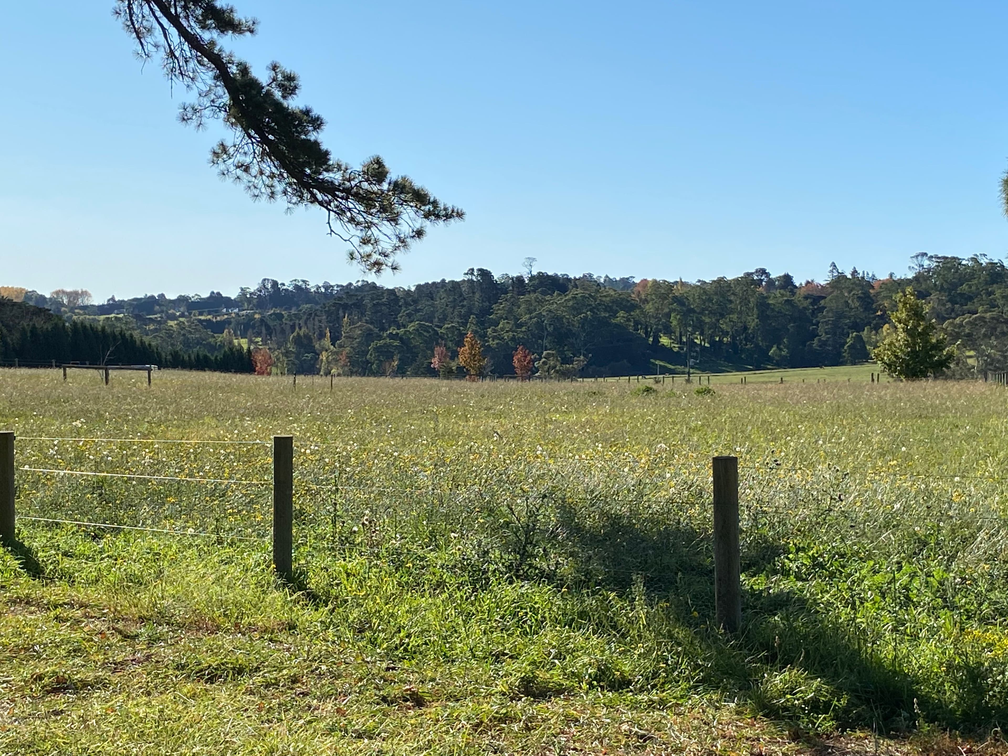 236 Bundanoon Road, Exeter NSW 2579, Exeter - Thumbnail 6