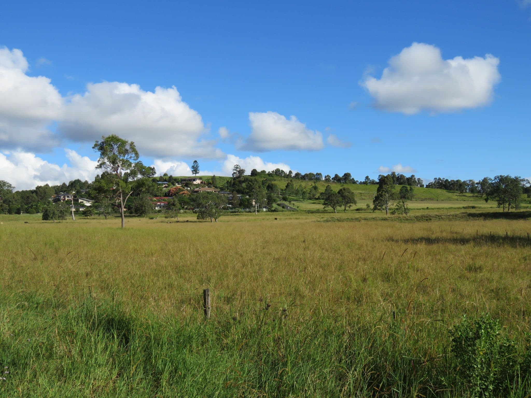 1 Toohey Road, Caniaba NSW 2480, Caniaba - Thumbnail 6