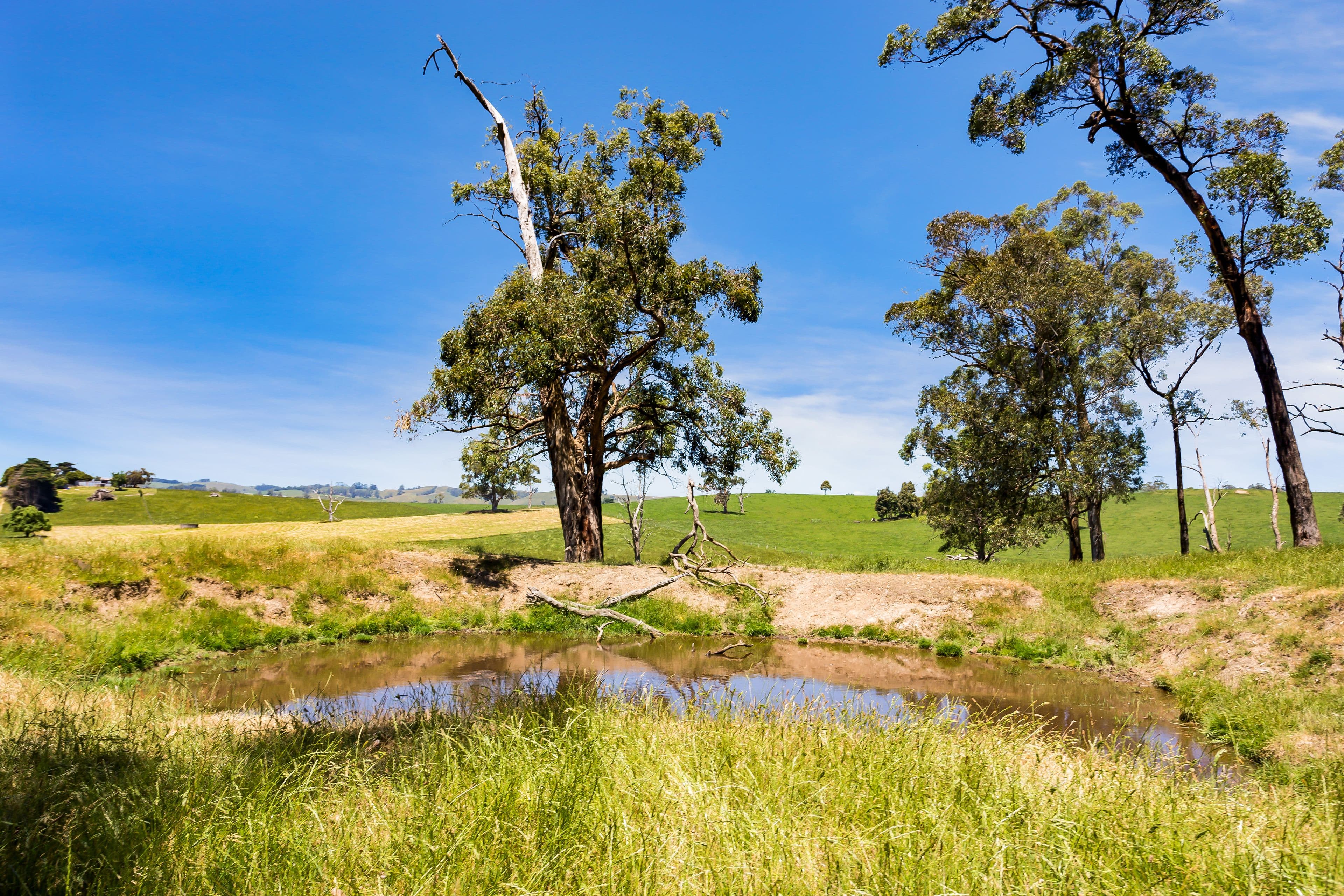 Lot 1 Standfields Road, Poowong North VIC 3988, Poowong North - Thumbnail 7