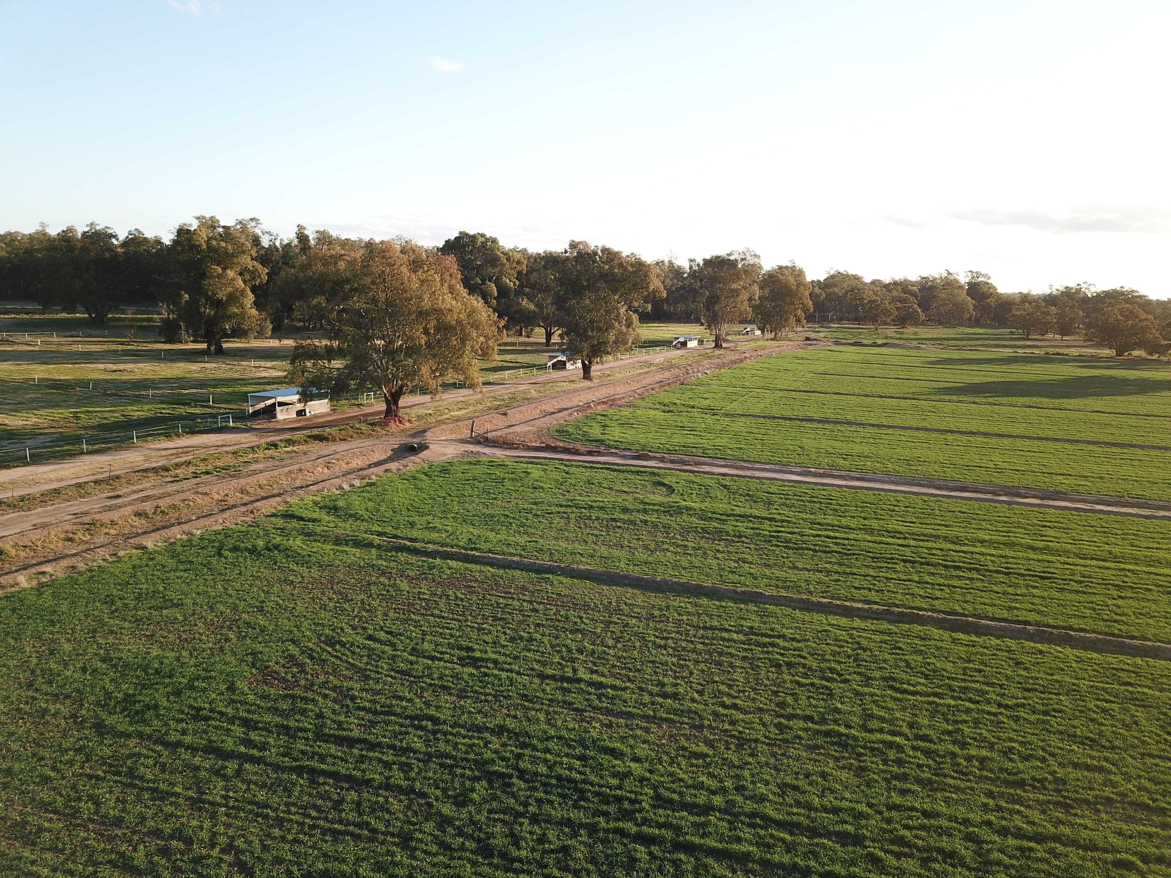 Nagiruoh 639 Kiacatoo Road, Condobolin NSW 2877, Condobolin - Thumbnail 4