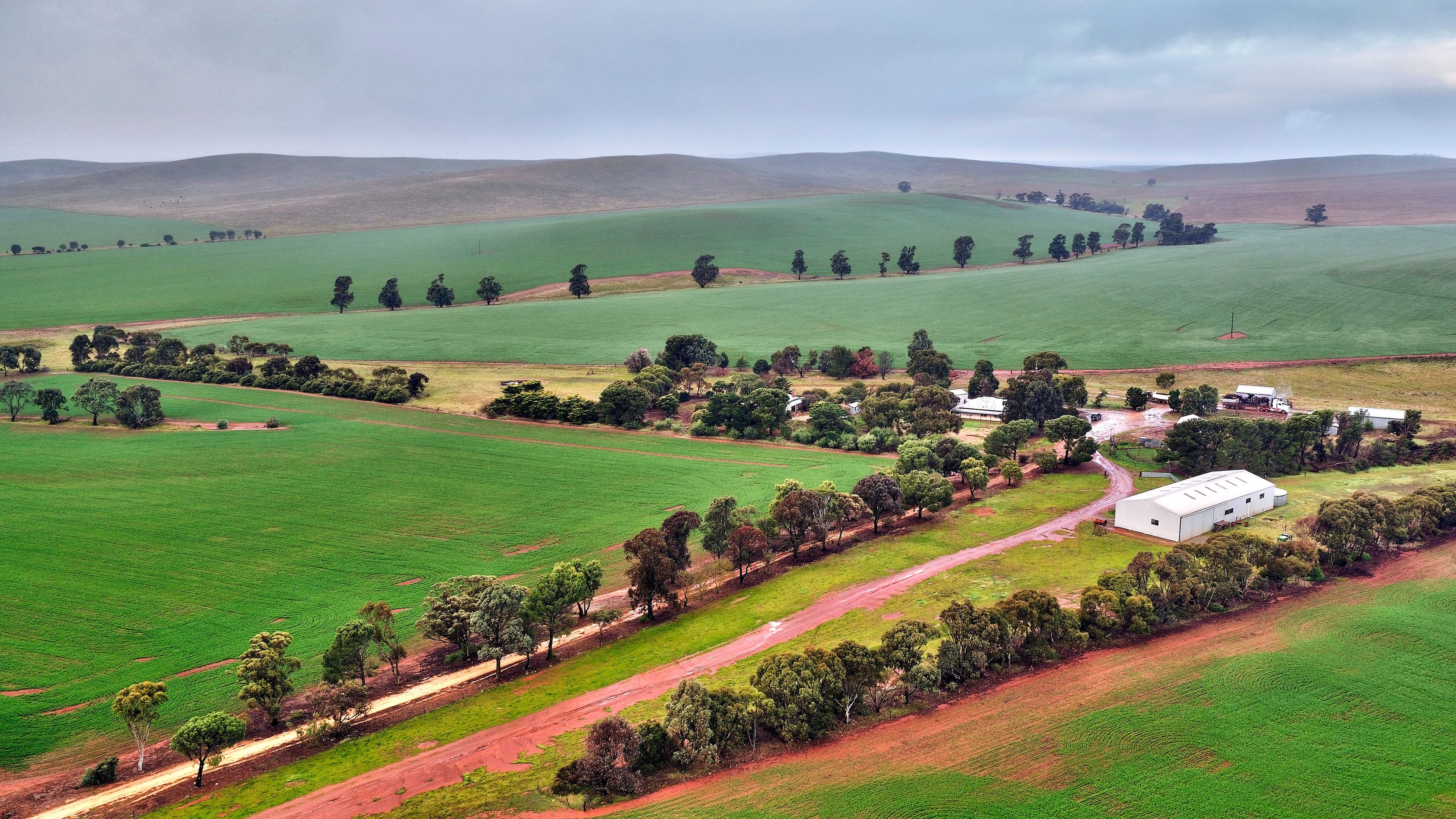 "Newikie" Old Belcunda Road, Mount Bryan SA 5418, Mount Bryan - Image 1