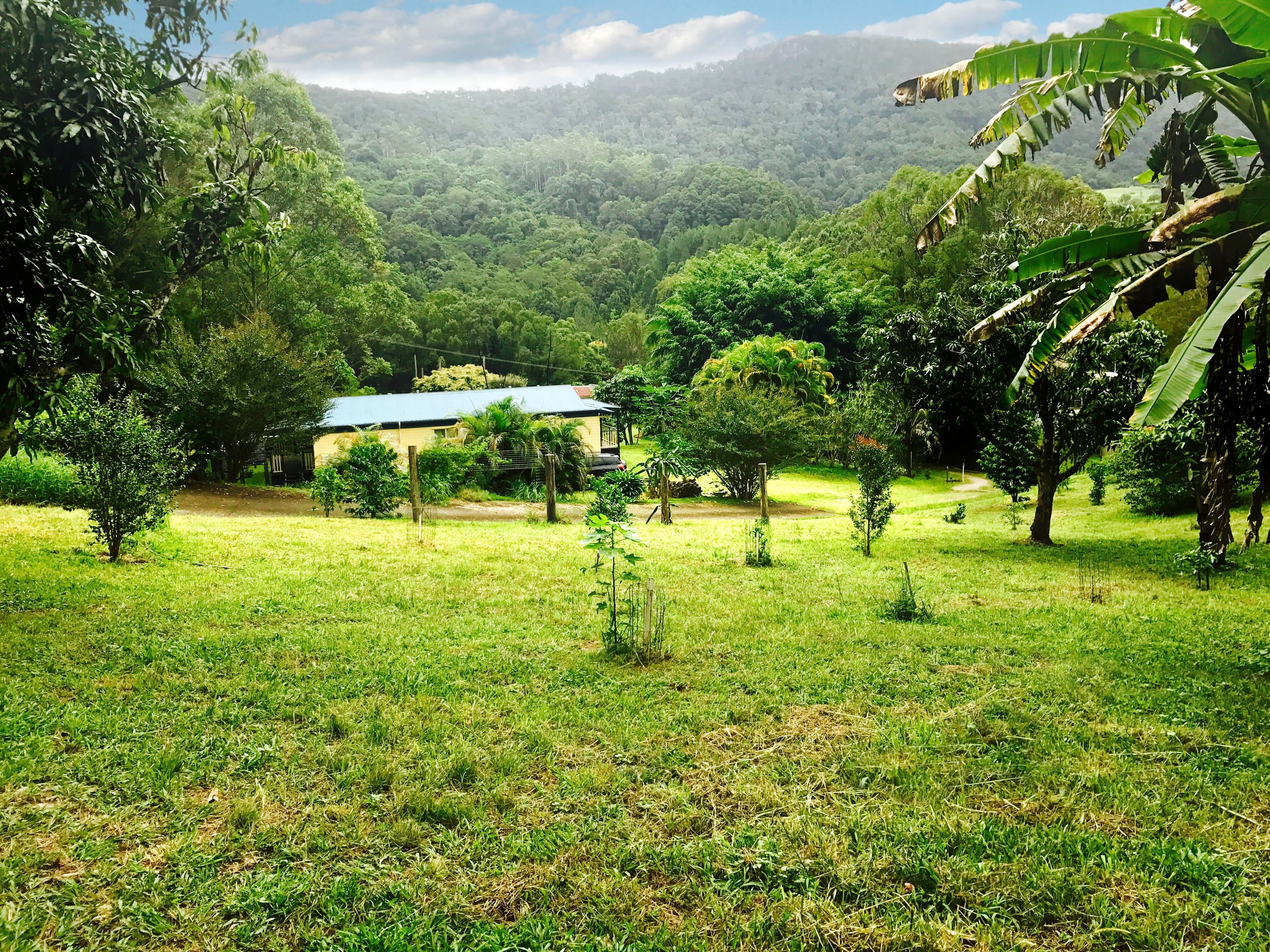 1381 Currumbin Creek Road, Currumbin Valley QLD 4223, Currumbin Valley - Thumbnail 7