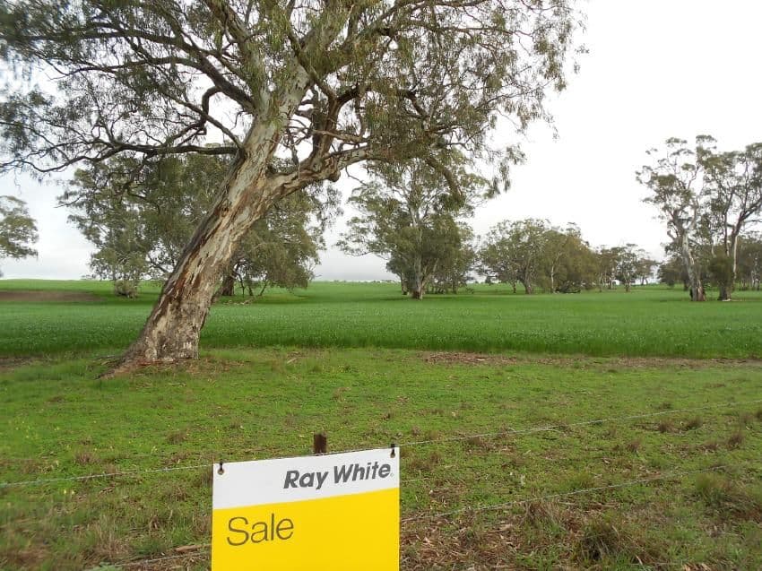 433 Golf Course Road, Bordertown SA 5268, Bordertown - Thumbnail 5