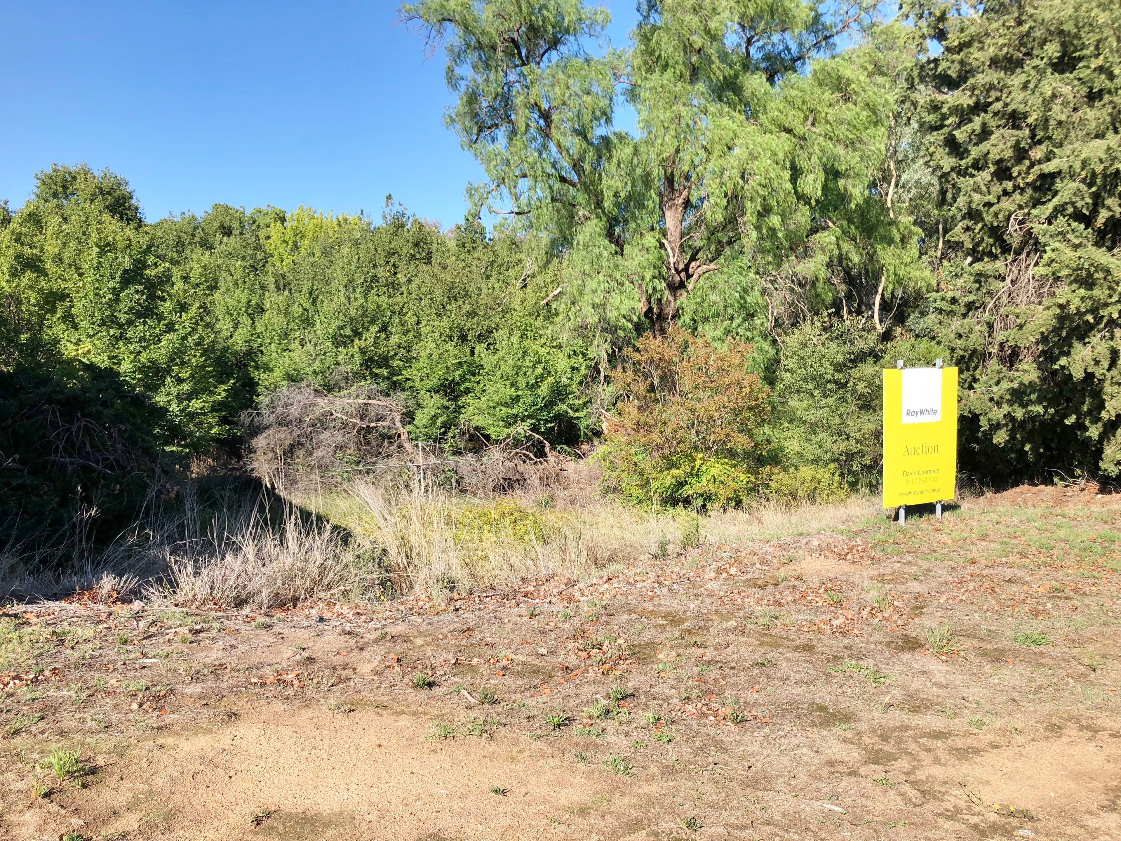 274 Boorowa Street, Young NSW 2594, Young - Thumbnail 5