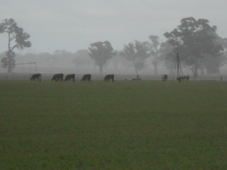 Lot 41 & 42 Cnr Dukes Hwy and Meatworks Road, Bordertown SA 5268, Bordertown - Thumbnail 7