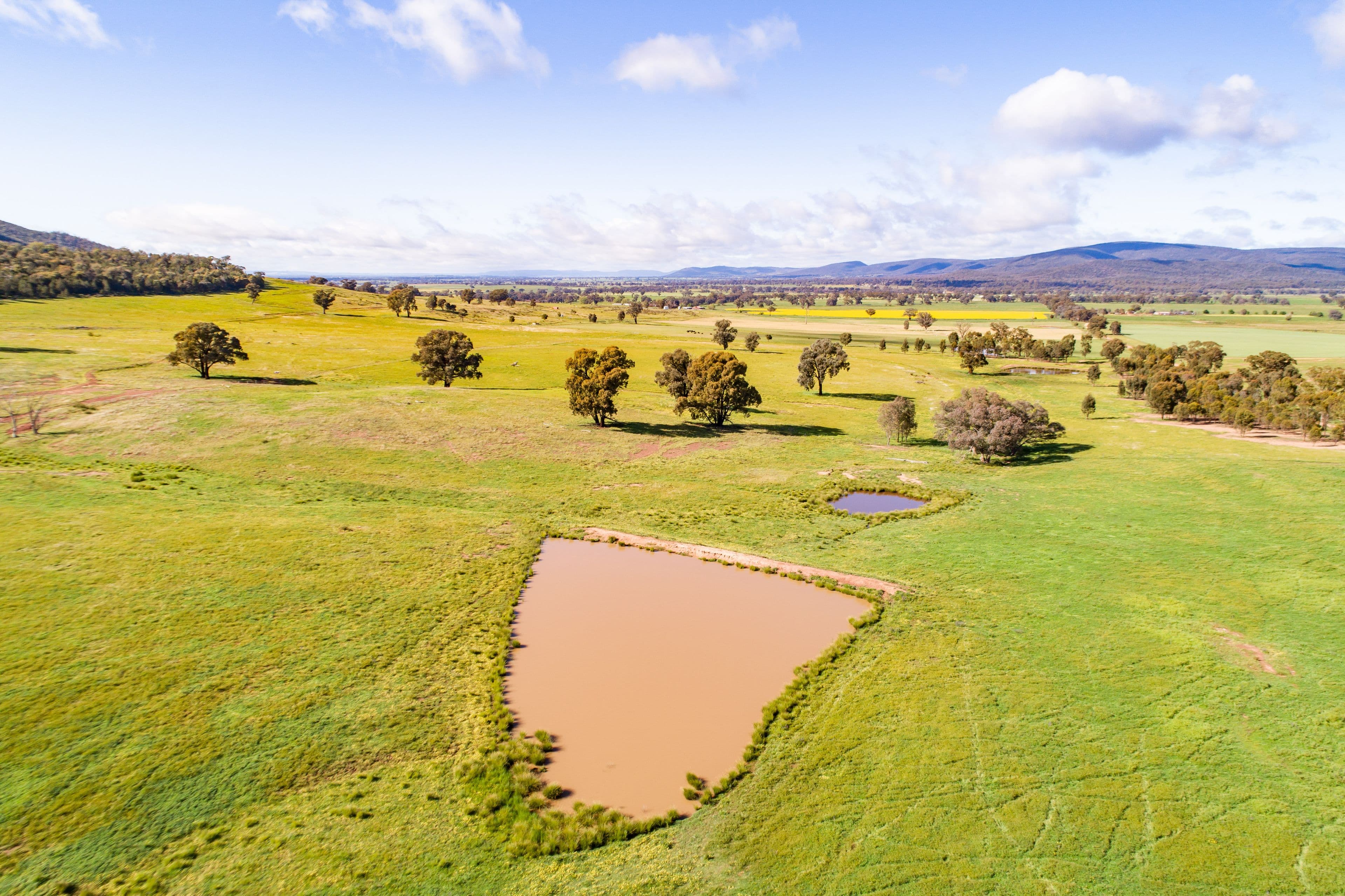 Jayton North' Fragar Road, COWRA NSW 2794, Cowra - Thumbnail 5