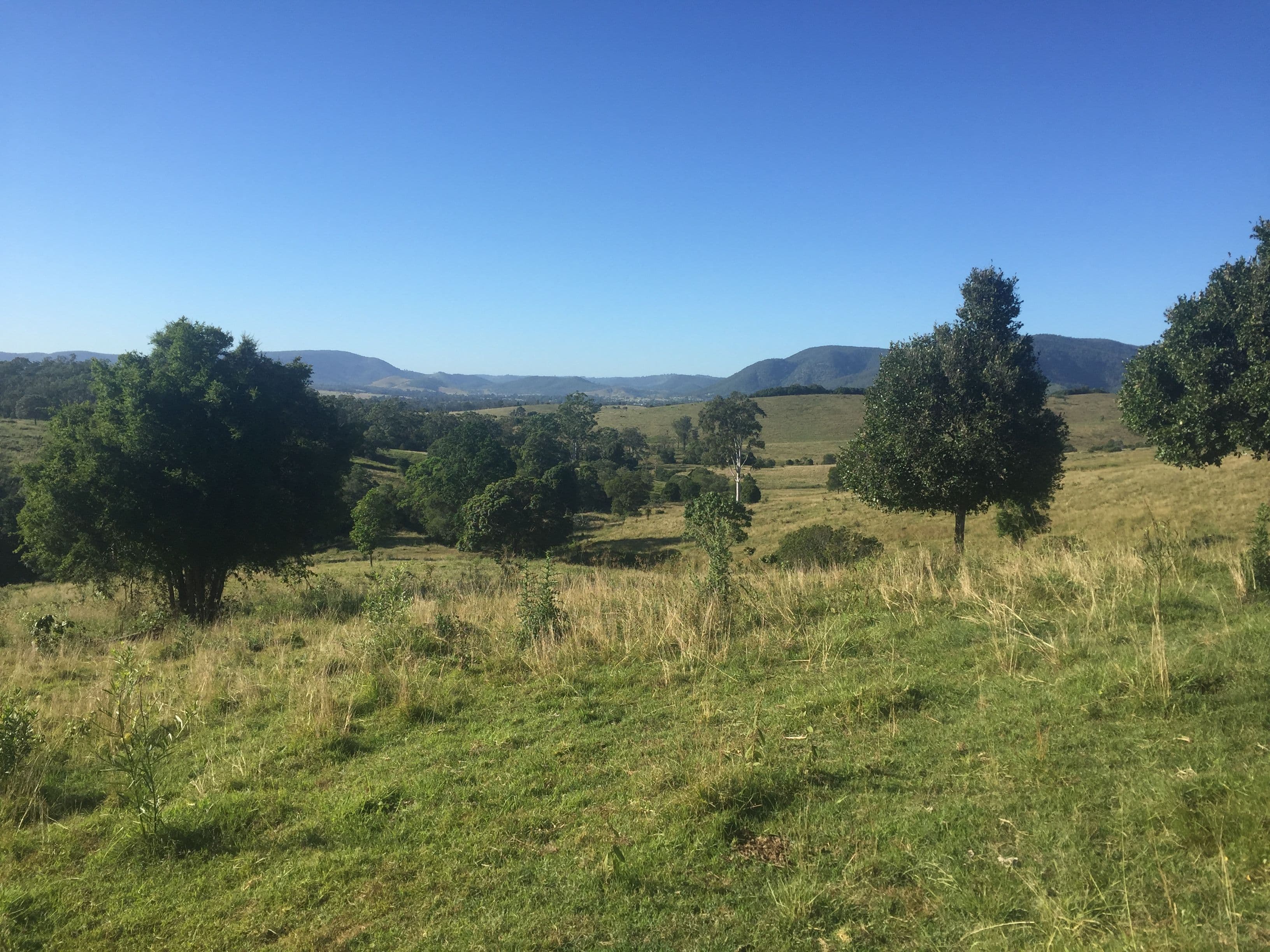 Lot 2 D'aguilar Highway, Sandy Creek QLD 4515, Sandy Creek - Thumbnail 3
