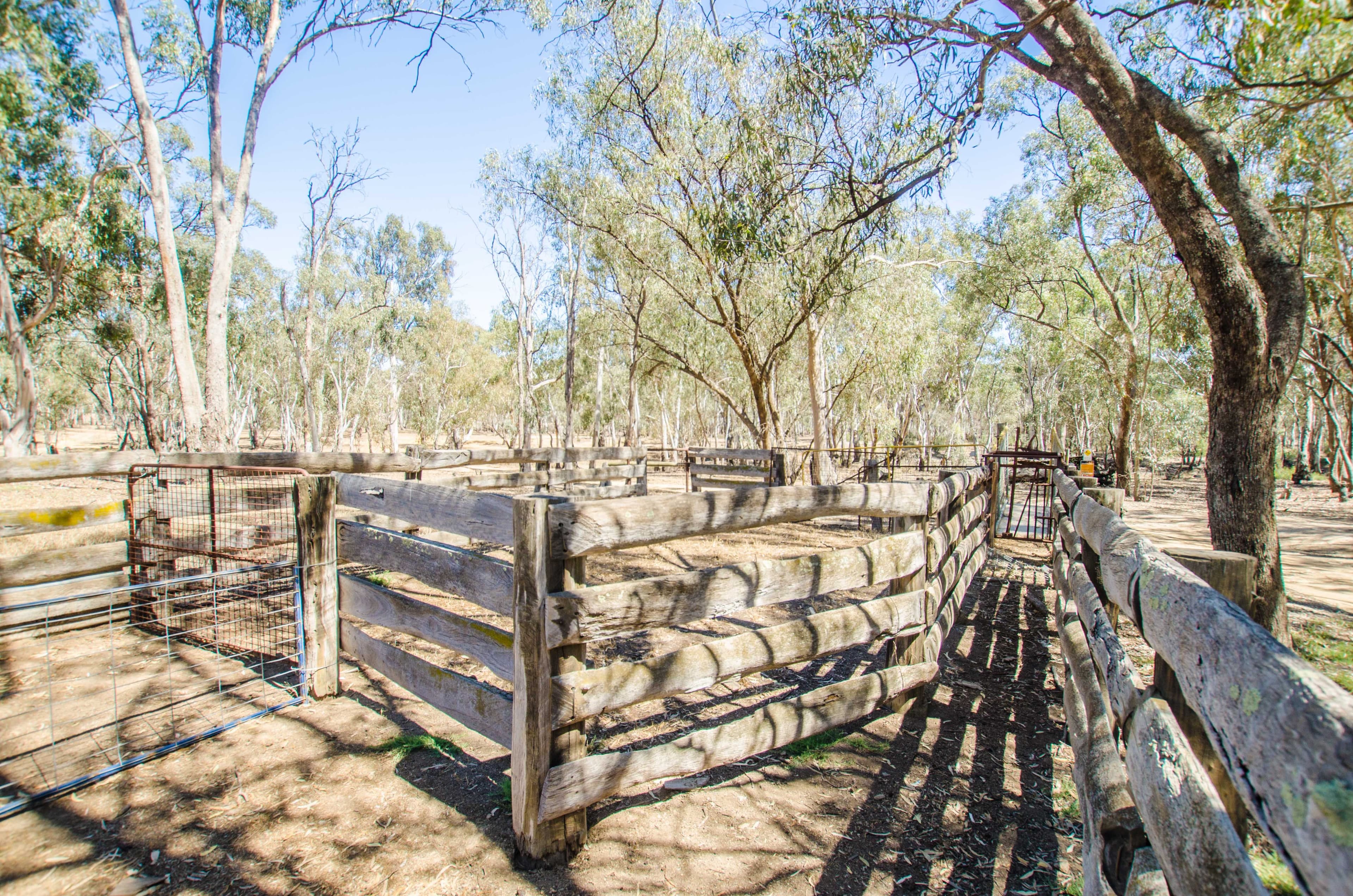 00 McKee Road, Echuca Village VIC 3564, Echuca Village - Thumbnail 4