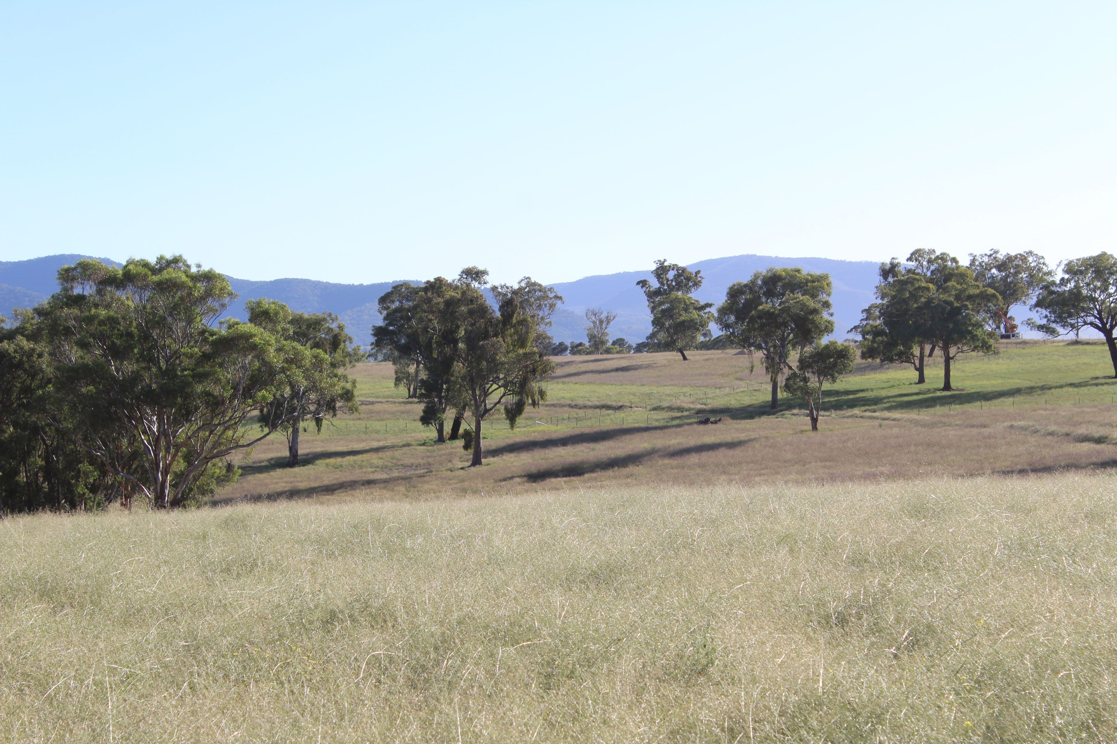 O'Connell NSW 2795, O'Connell - Thumbnail 4