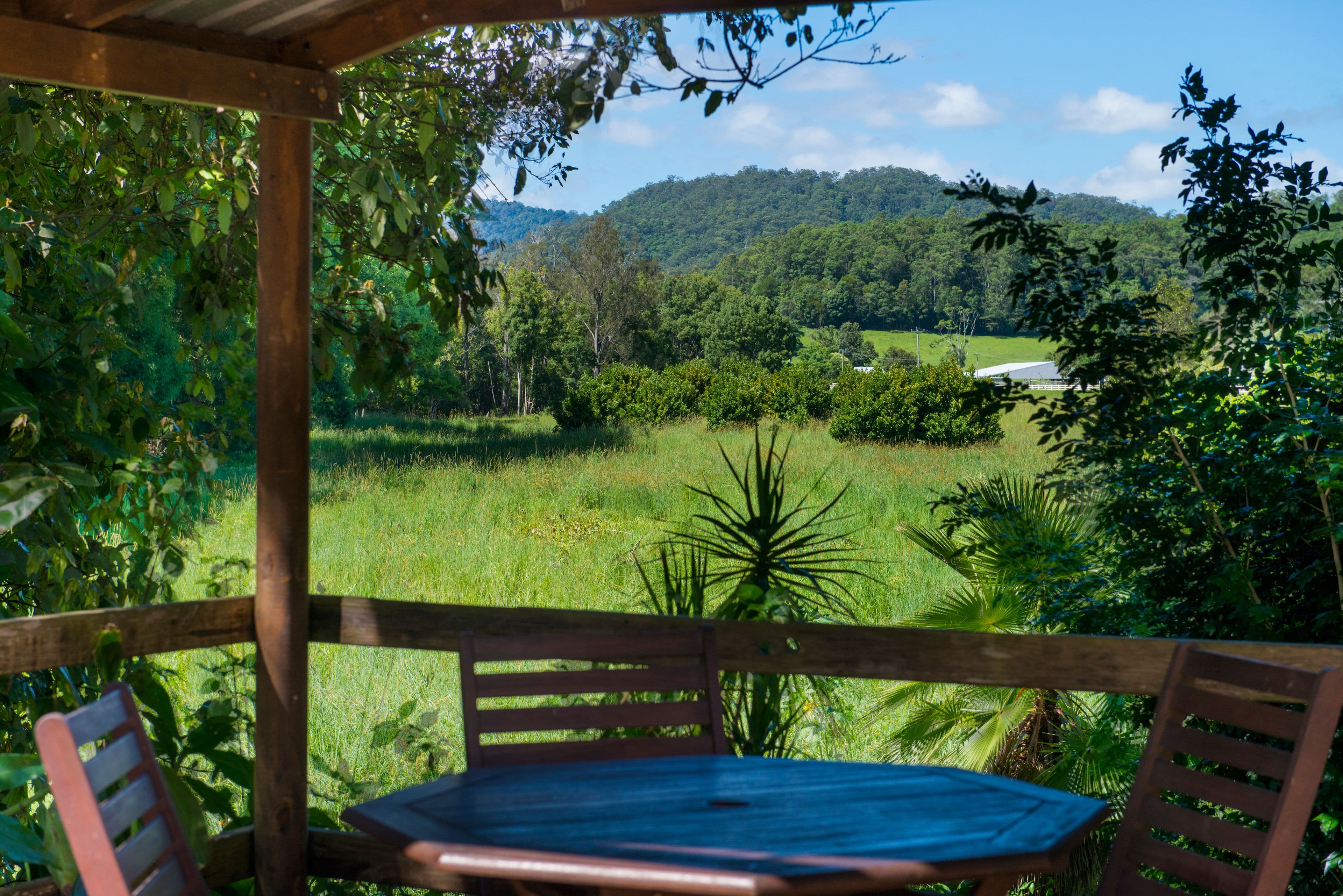 100 Upper Crystal Creek Road, Upper Crystal Creek NSW 2484, Upper Crystal Creek - Image 1