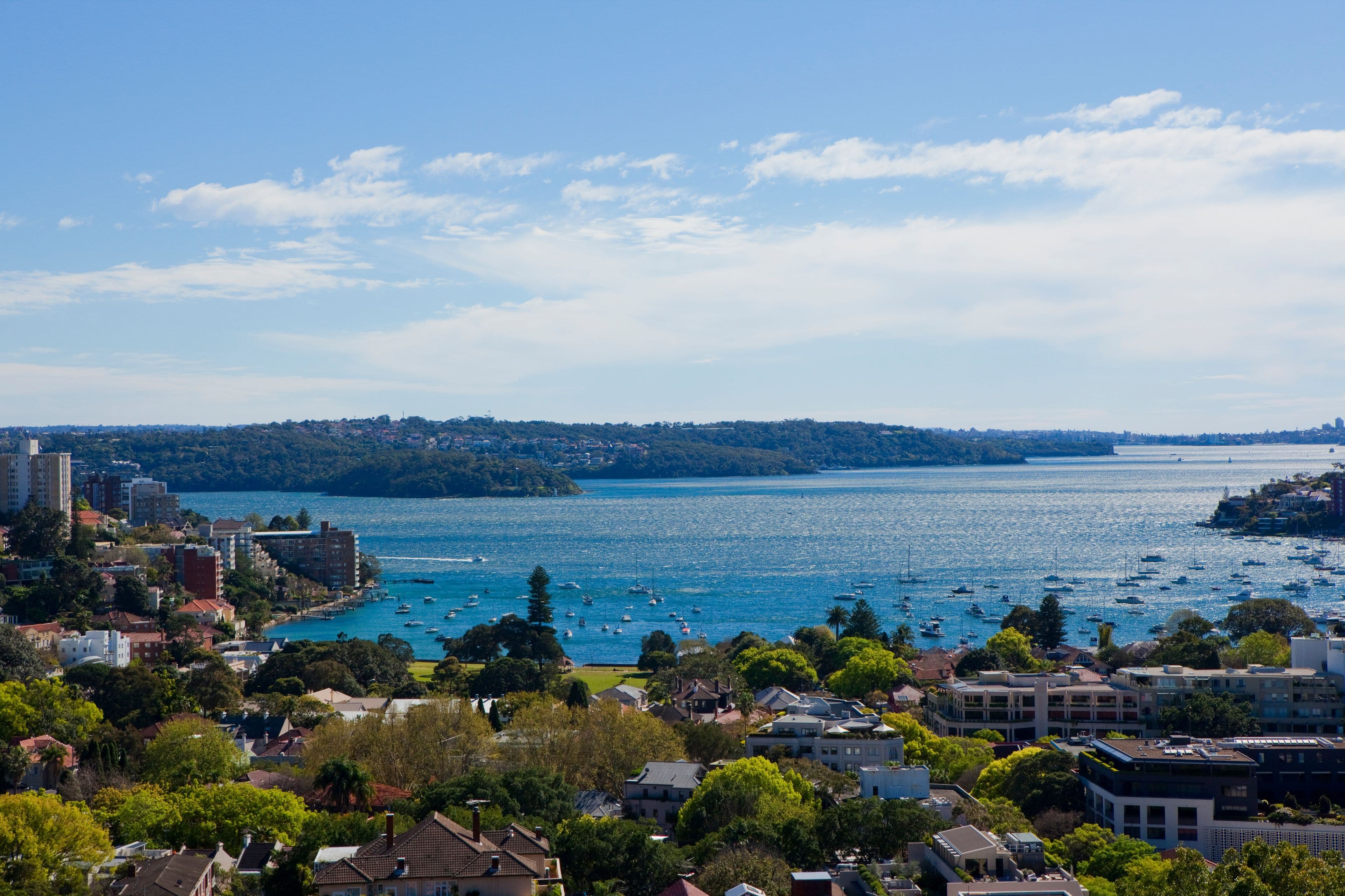 22 Albert Street, Edgecliff NSW 2027, Edgecliff - Thumbnail 5