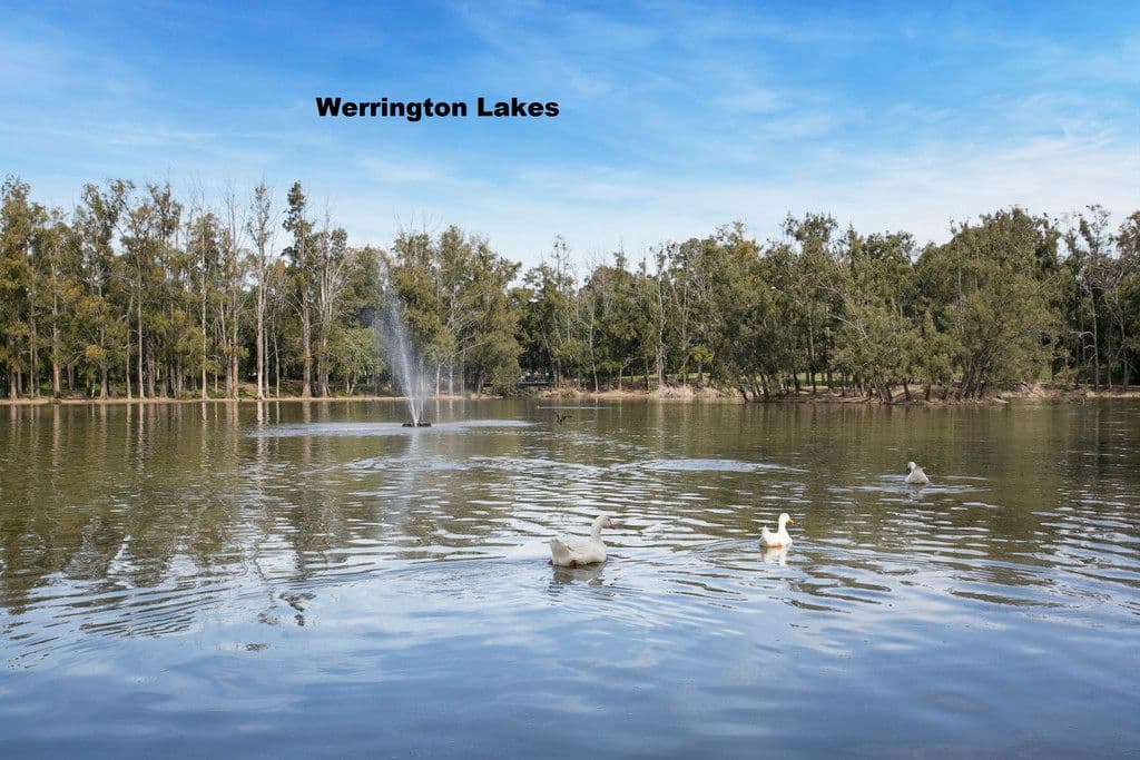 7 Burton Street, Werrington County NSW 2747, Werrington County - Thumbnail 2