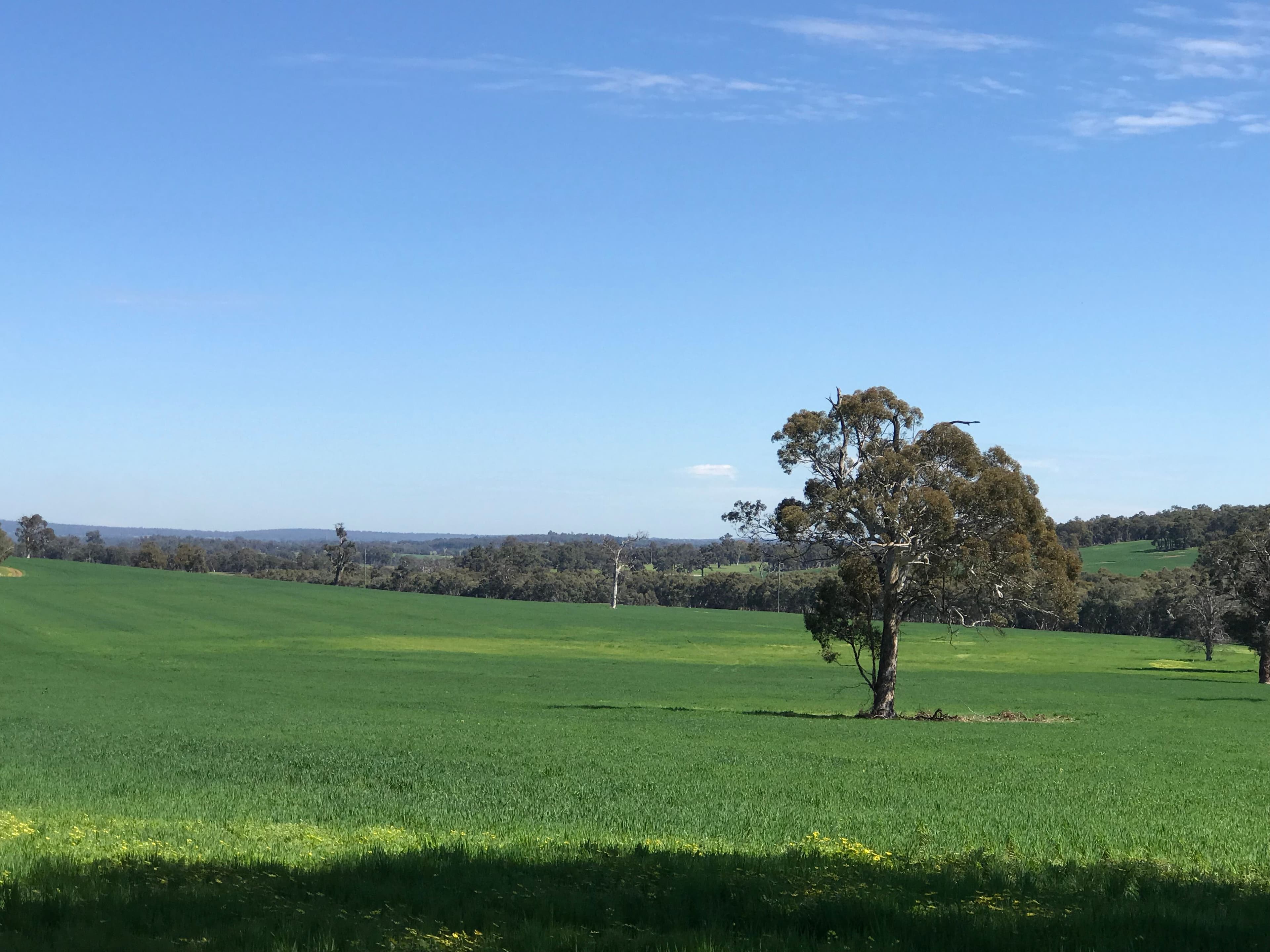 550 Inkpen Road, Copley WA 6562, Copley - Thumbnail 2