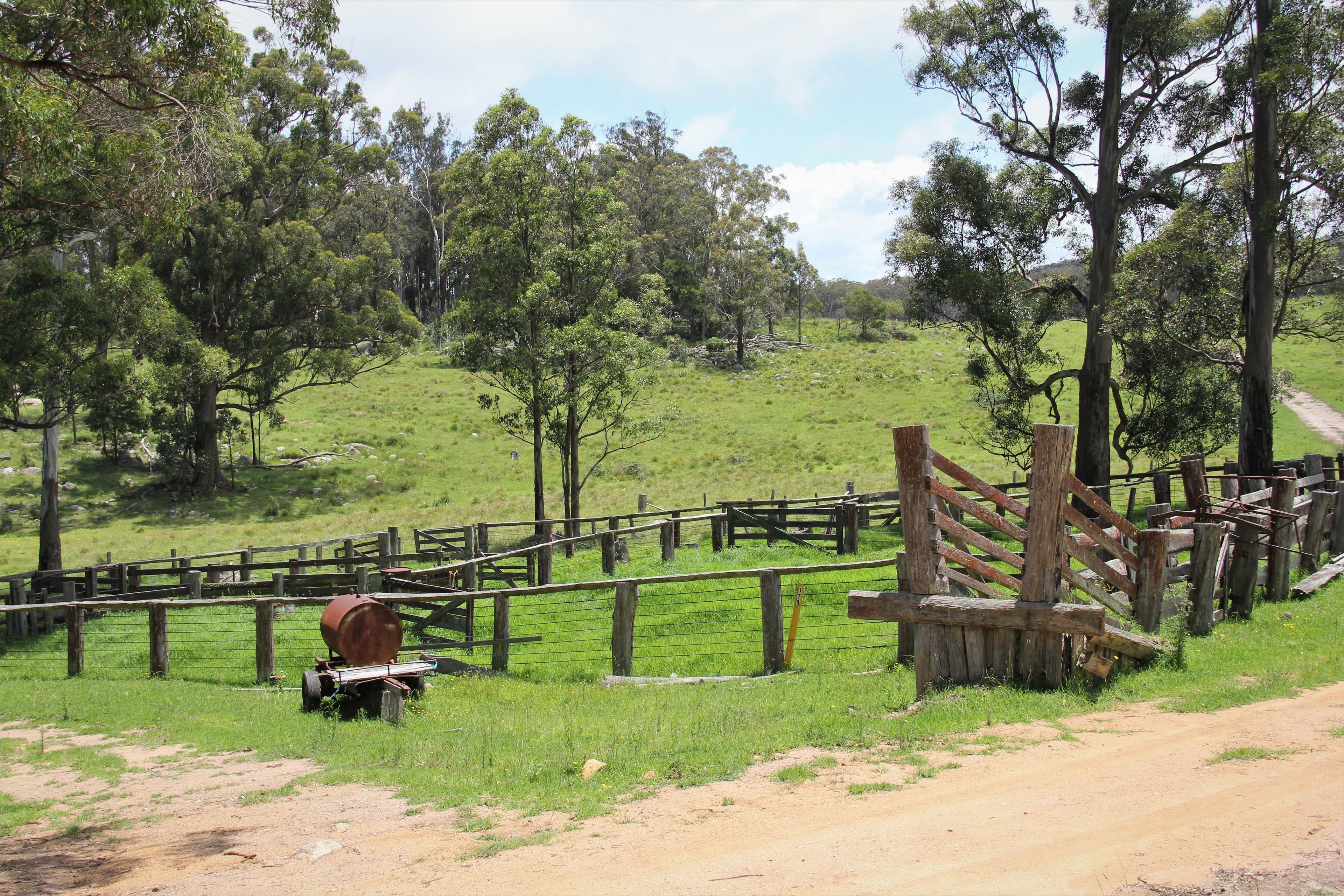 170 Bungulla Road, Tenterfield NSW 2372, Tenterfield - Thumbnail 4