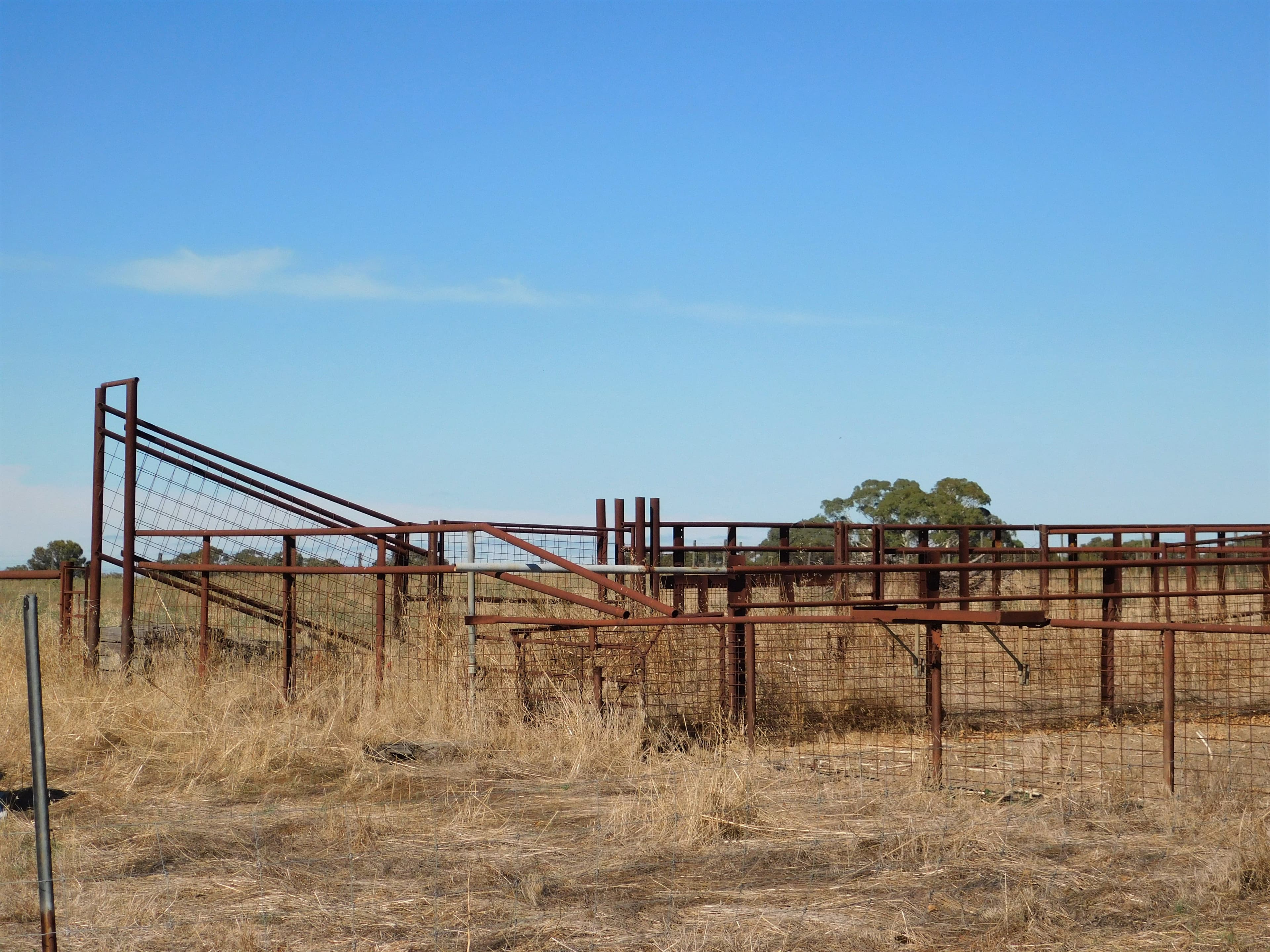 Lot 3 Golf Course Road, Bordertown SA 5268, Bordertown - Thumbnail 6