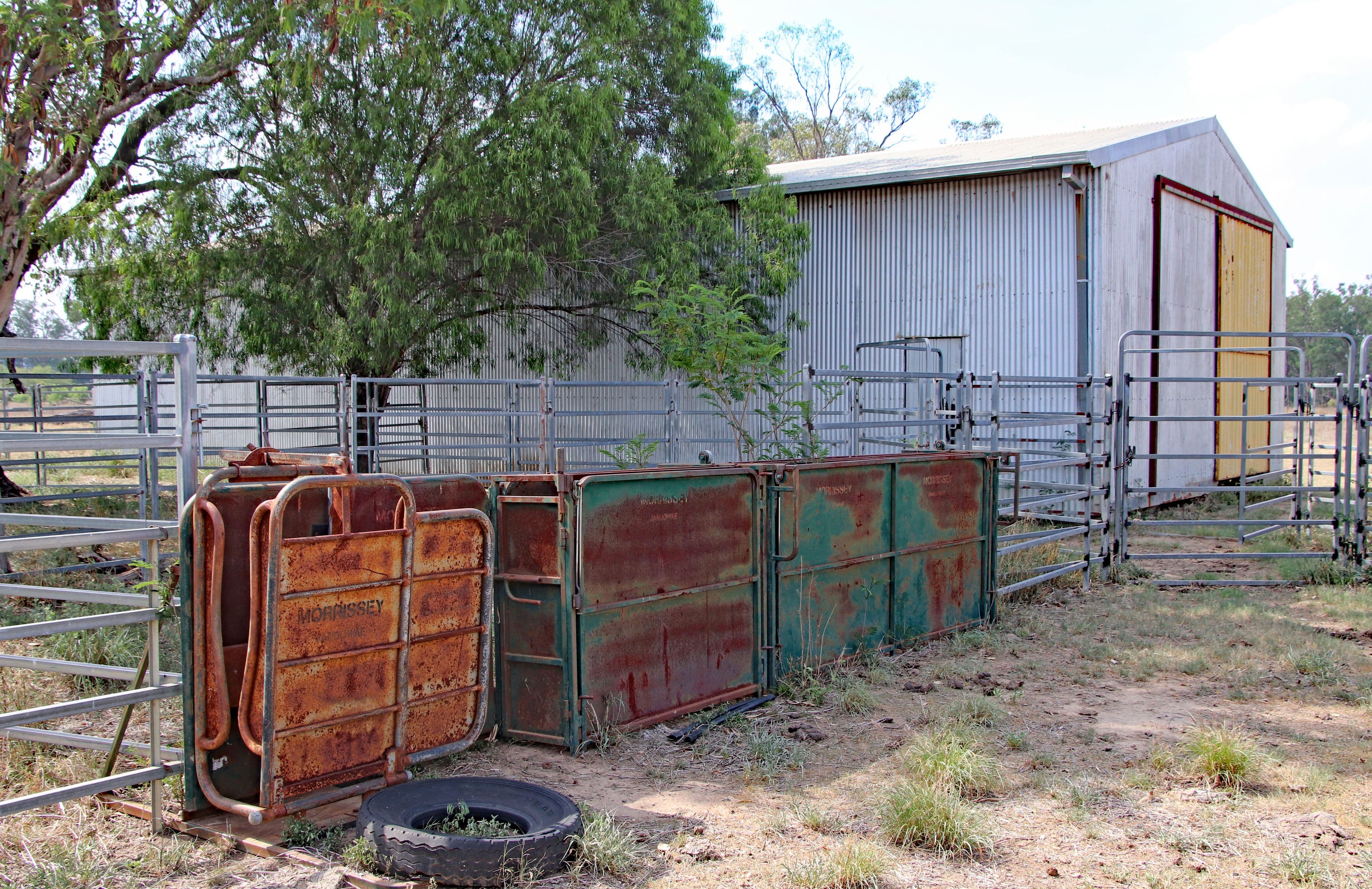 47413 Burnett Highway, Dululu QLD 4702, Dululu - Thumbnail 6