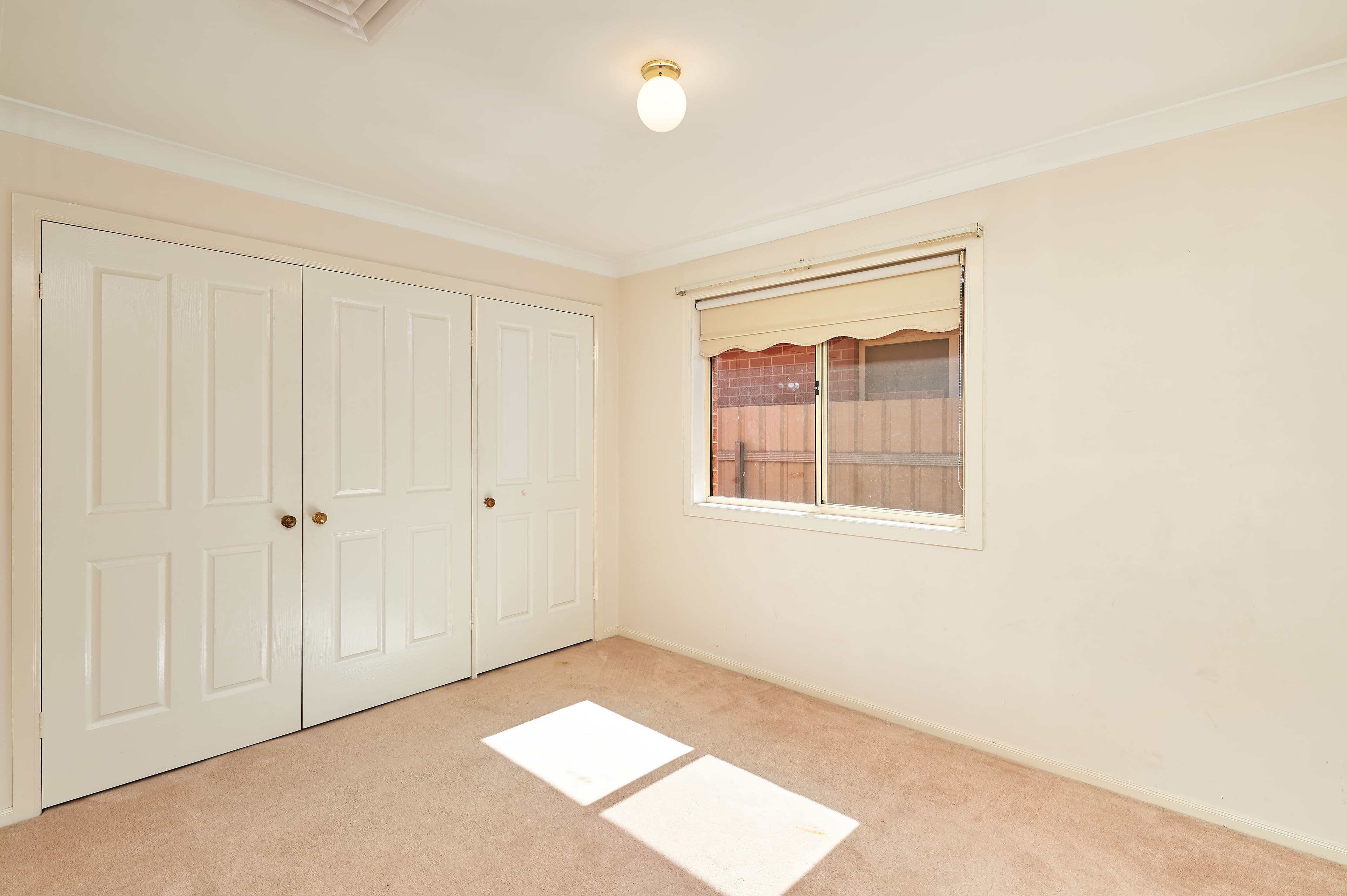 11 Crampton Street, Wagga Wagga - Thumbnail 6