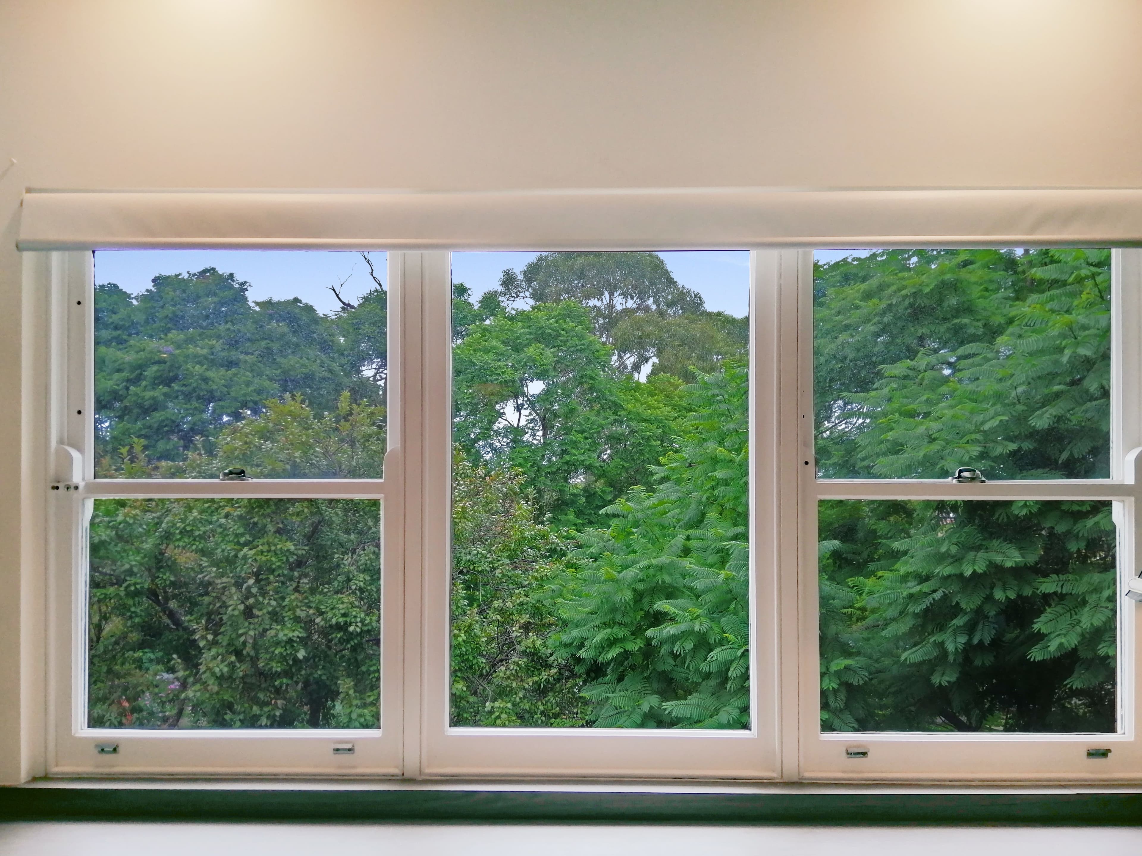 9 Myrtle Street, Oatley - Thumbnail 4