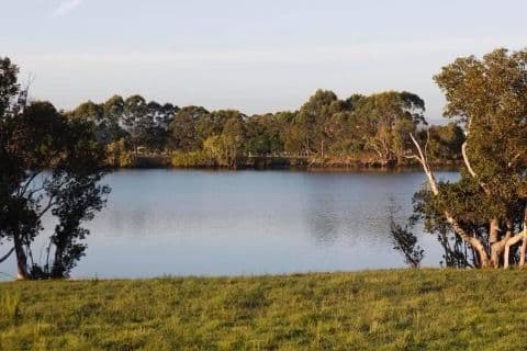 Cundle Park 10 Princes Street, Cundletown NSW 2430, Cundletown - Thumbnail 4