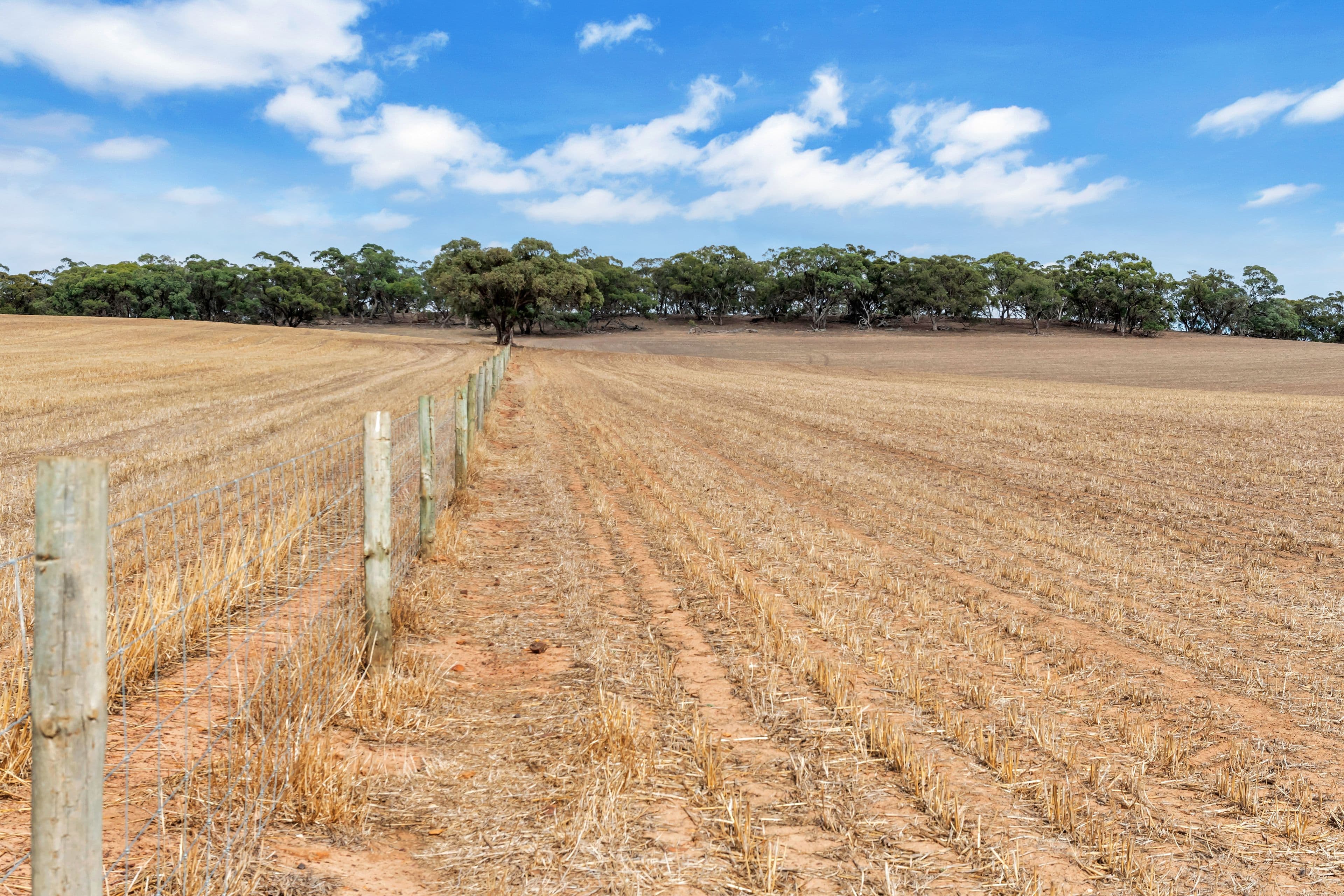 "Vingo's" Lot 57 Powerline South Road, Marrabel SA 5413, Marrabel - Thumbnail 5