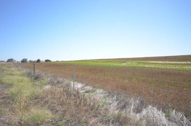 "Waterloo" Main Road 45, Waterloo SA 5413, Waterloo - Thumbnail 7