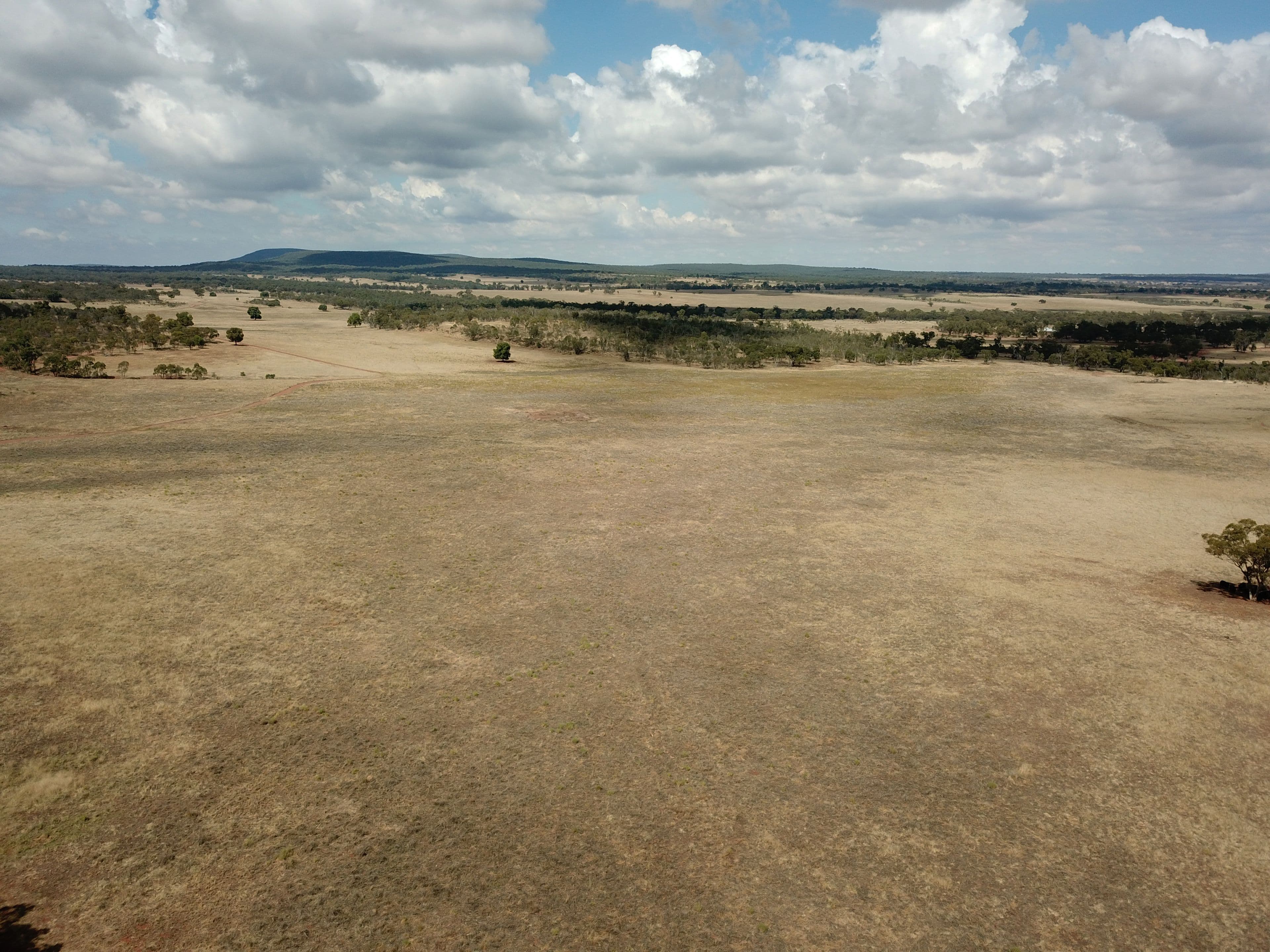 918 The Springs Road, Rankins Springs NSW 2669, Rankins Springs - Thumbnail 3
