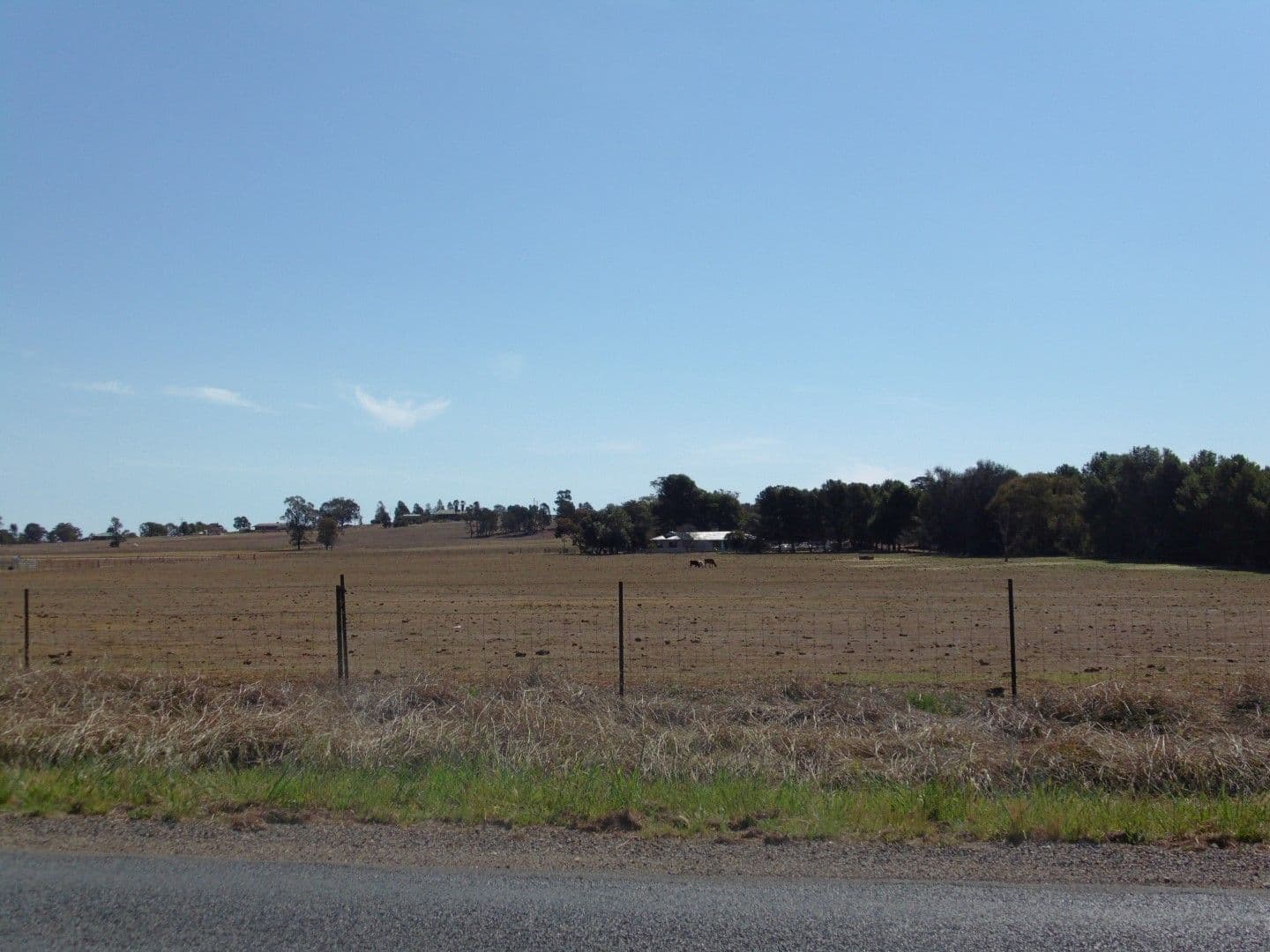 290 Back Yamma Road, Parkes - Thumbnail 3