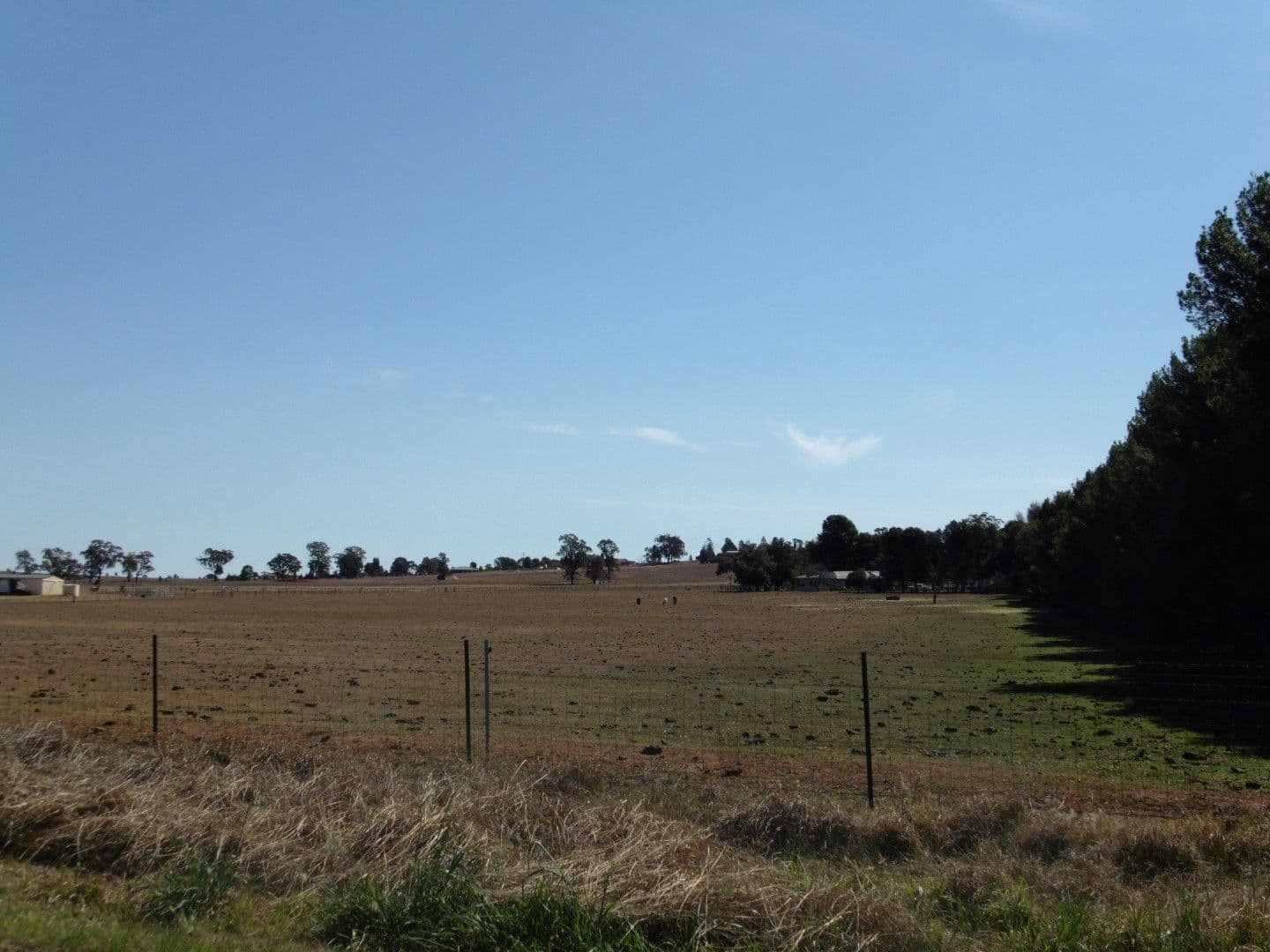 290 Back Yamma Road, Parkes - Thumbnail 2