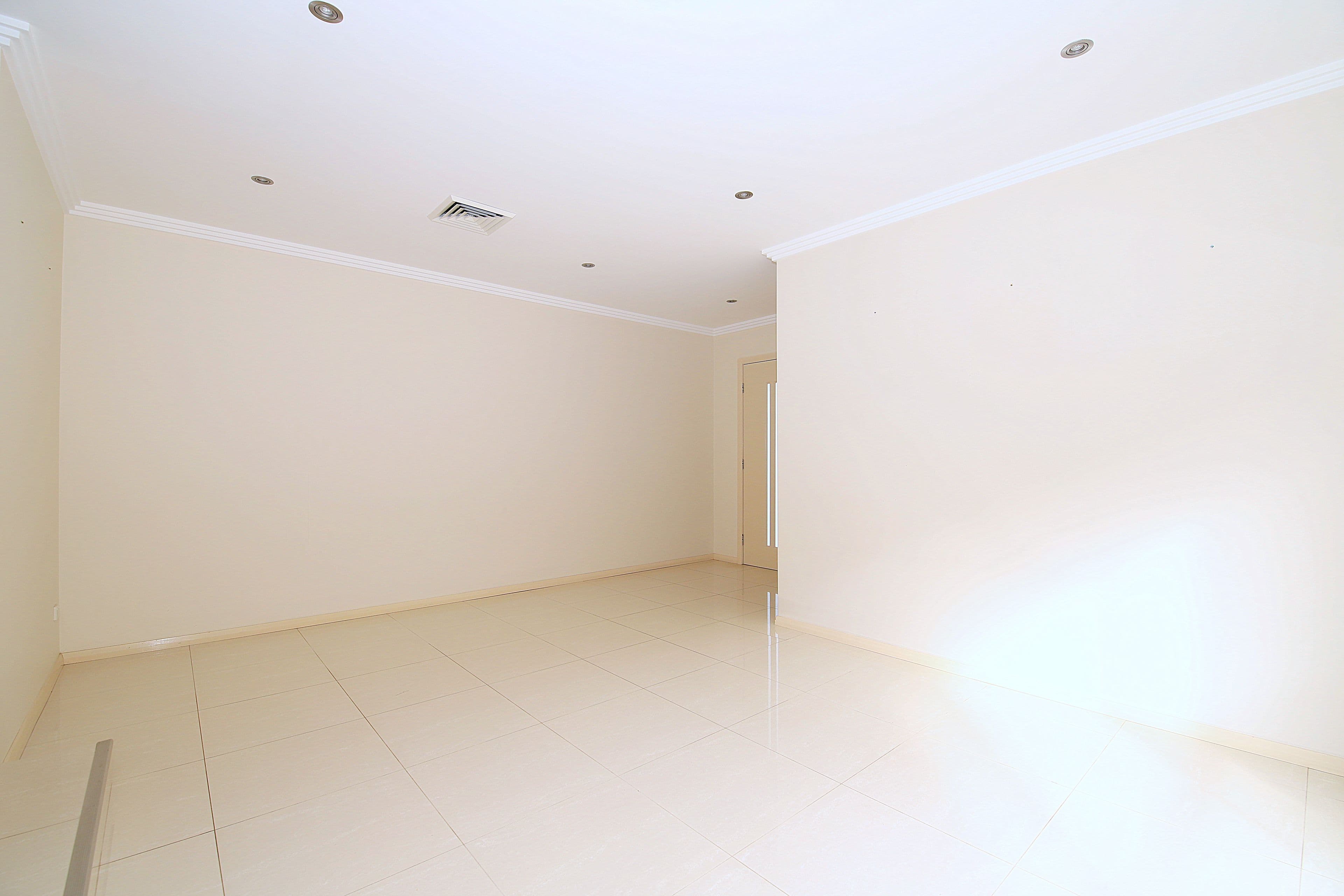 3A Griffiths Avenue, Punchbowl NSW 2196, Punchbowl - Thumbnail 3