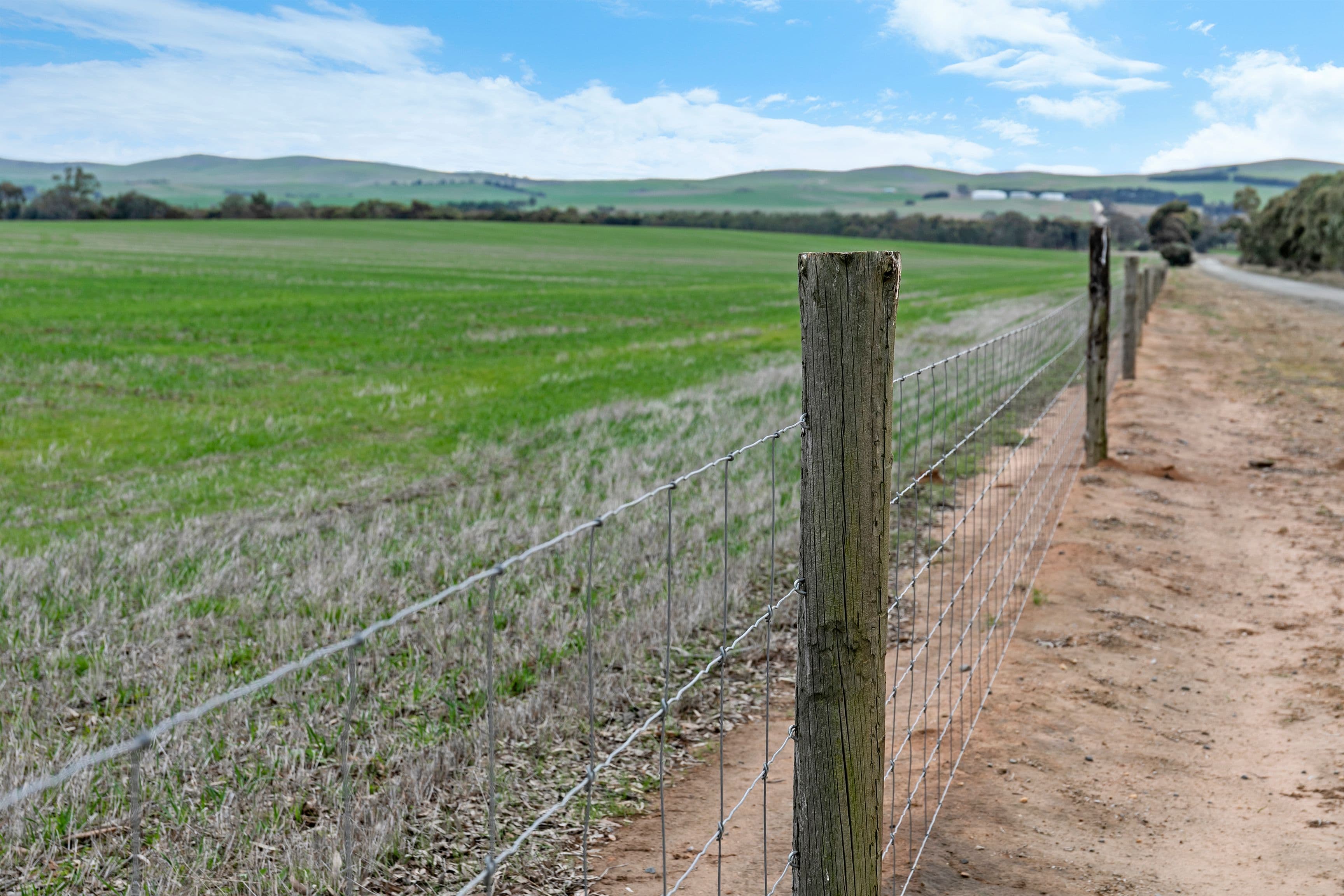 Lot 2 'East' 206 Lally Road, Hill River SA 5453, Hill River - Thumbnail 4